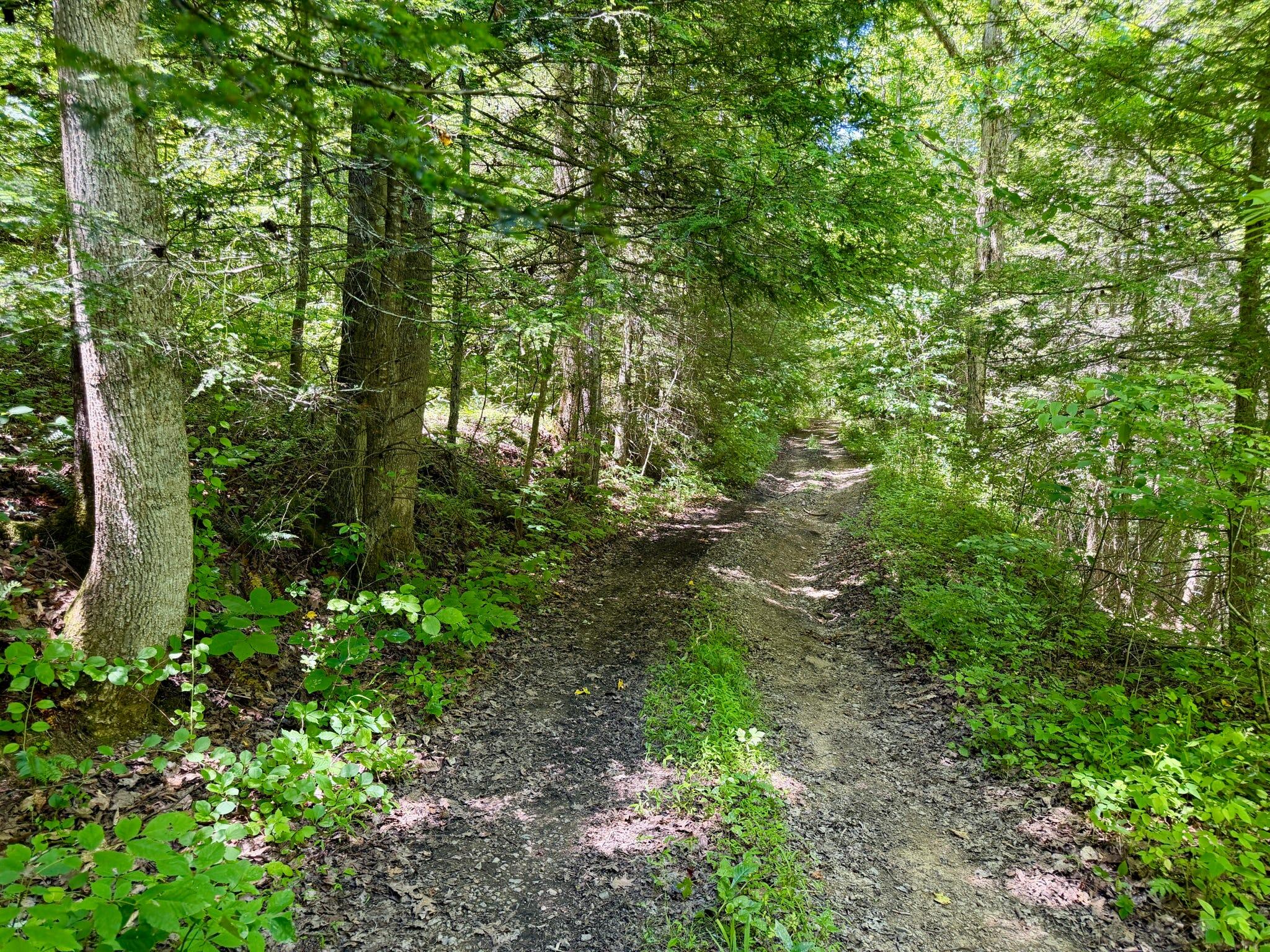 165a Open Fork Road Property Photo 51