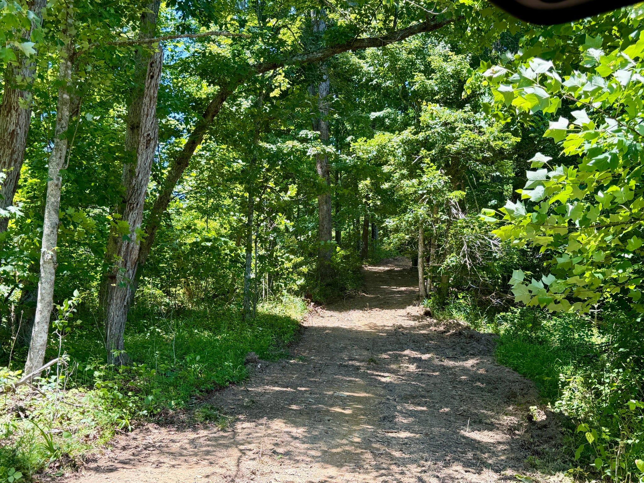165a Open Fork Road Property Photo 52