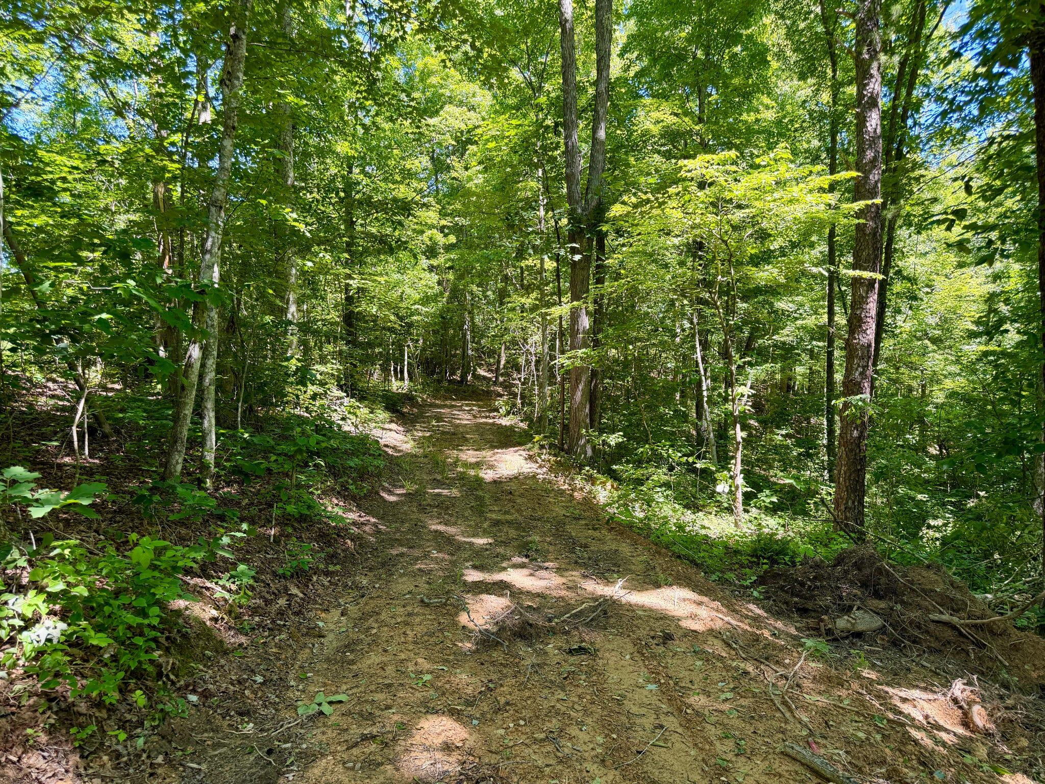 165a Open Fork Road Property Photo 53