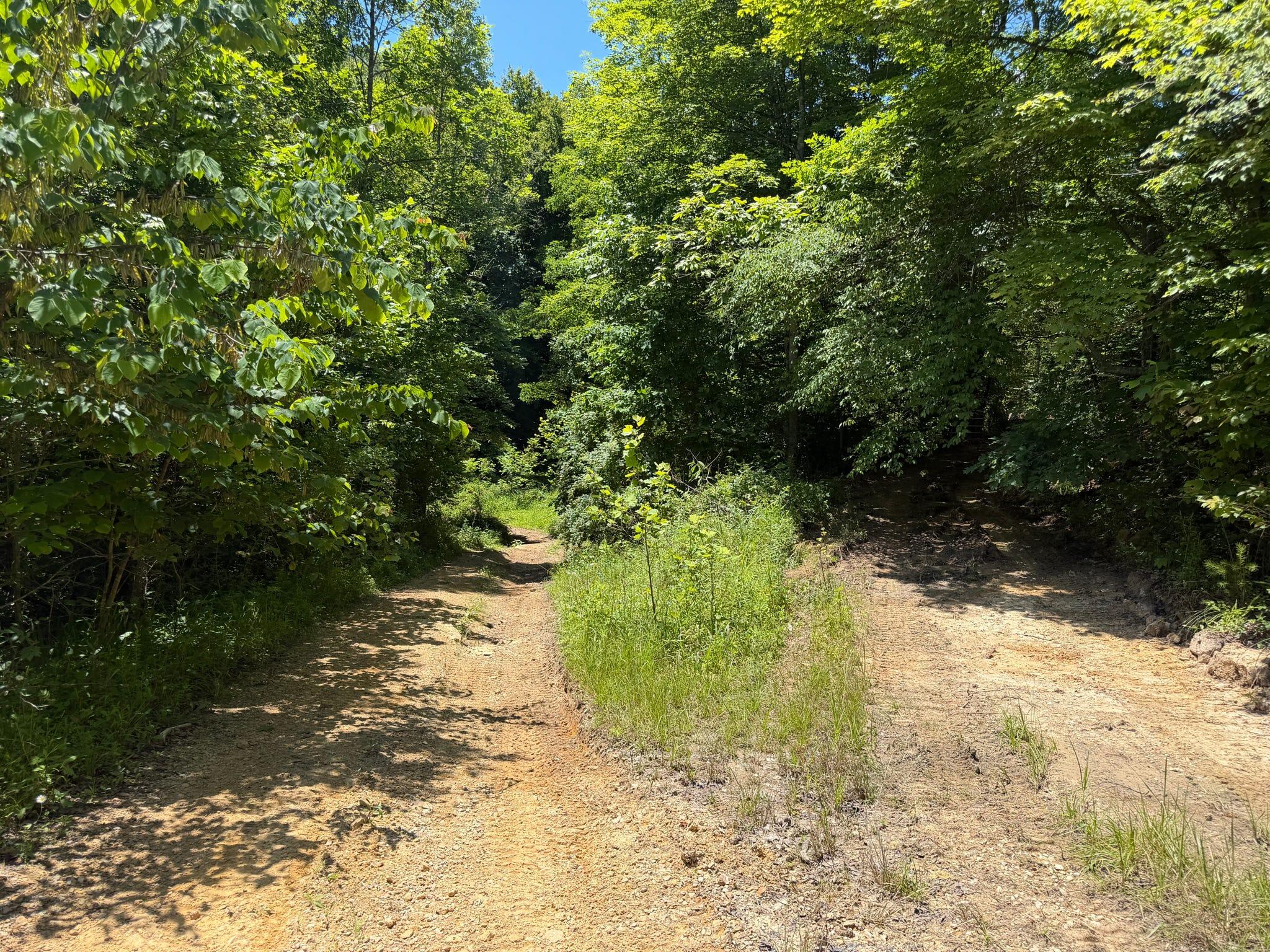 165a Open Fork Road Property Photo 54