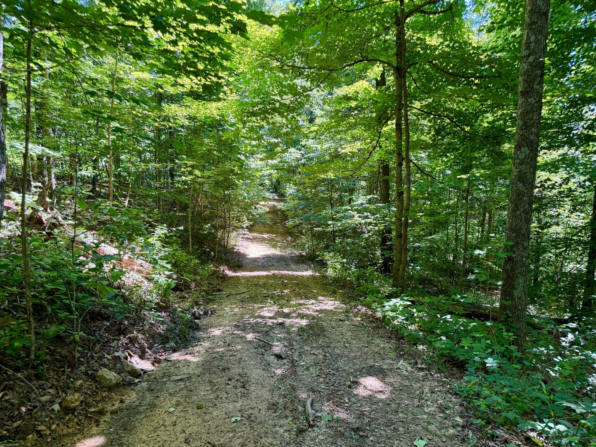 165a Open Fork Road Property Photo 55