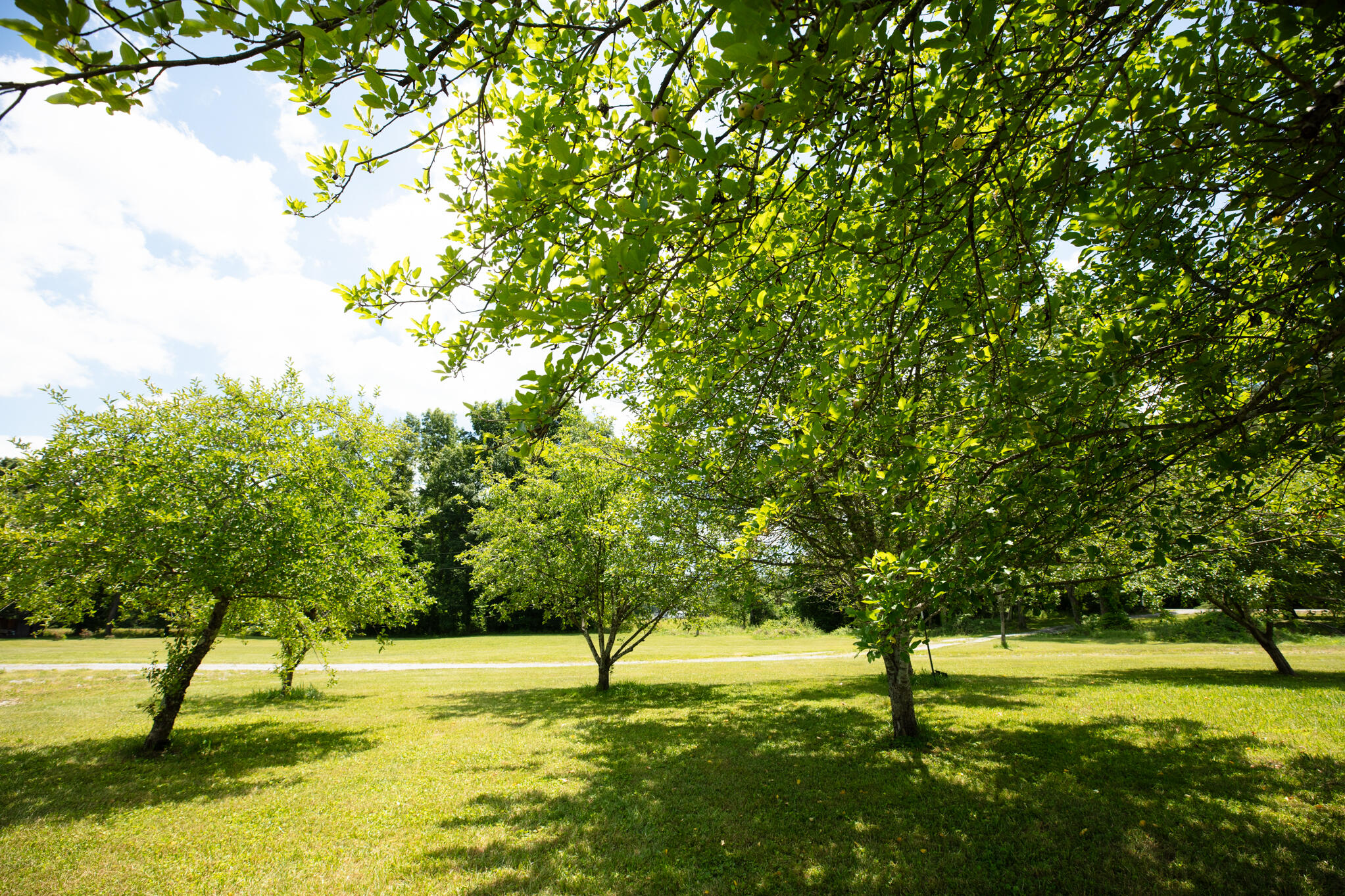 4153 Copper Creek Road Property Photo 28