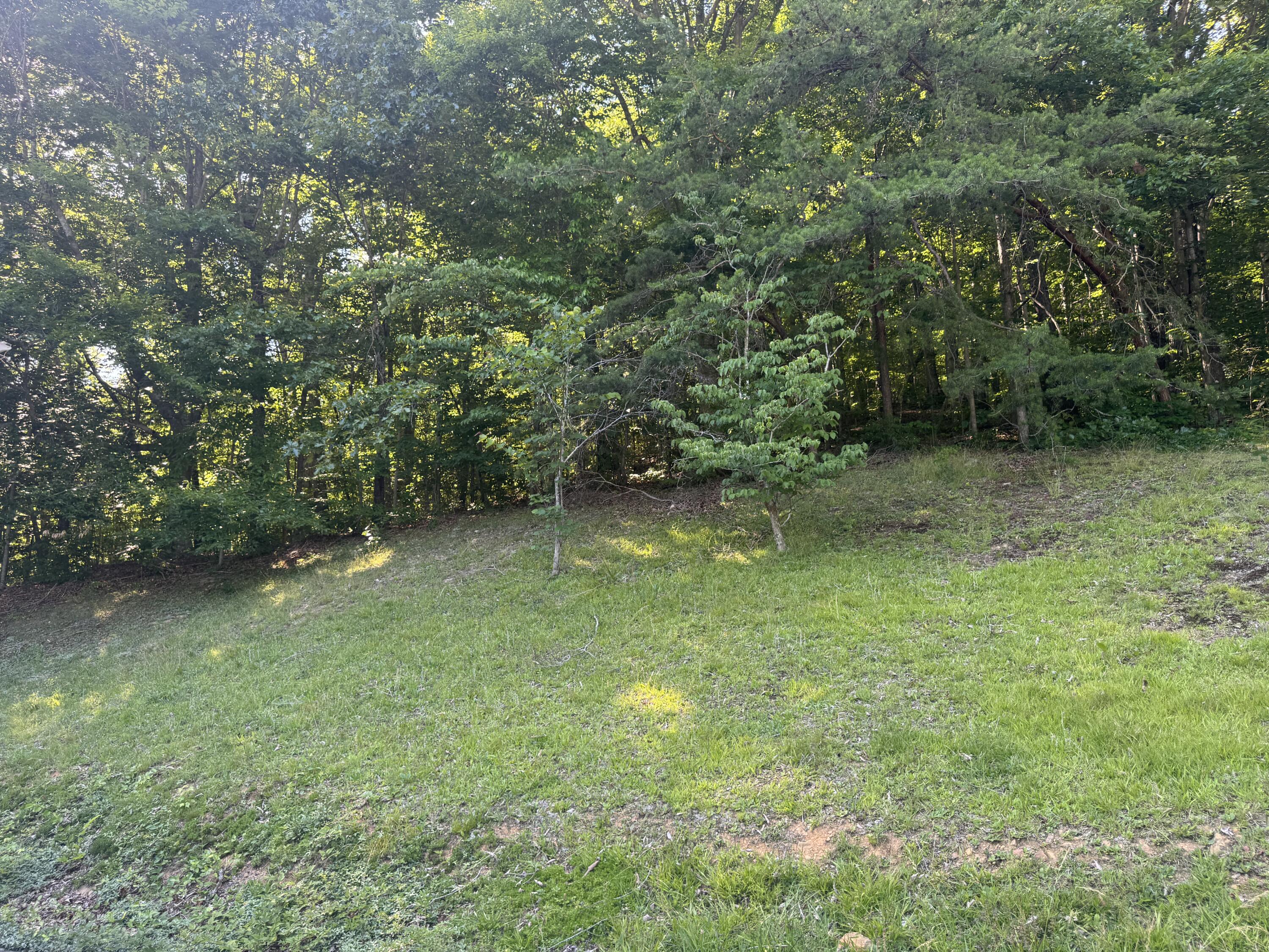 1448 Briar Creek Road Property Photo 4