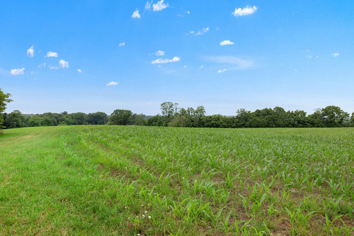 3749 High Bridge Road Property Photo 16