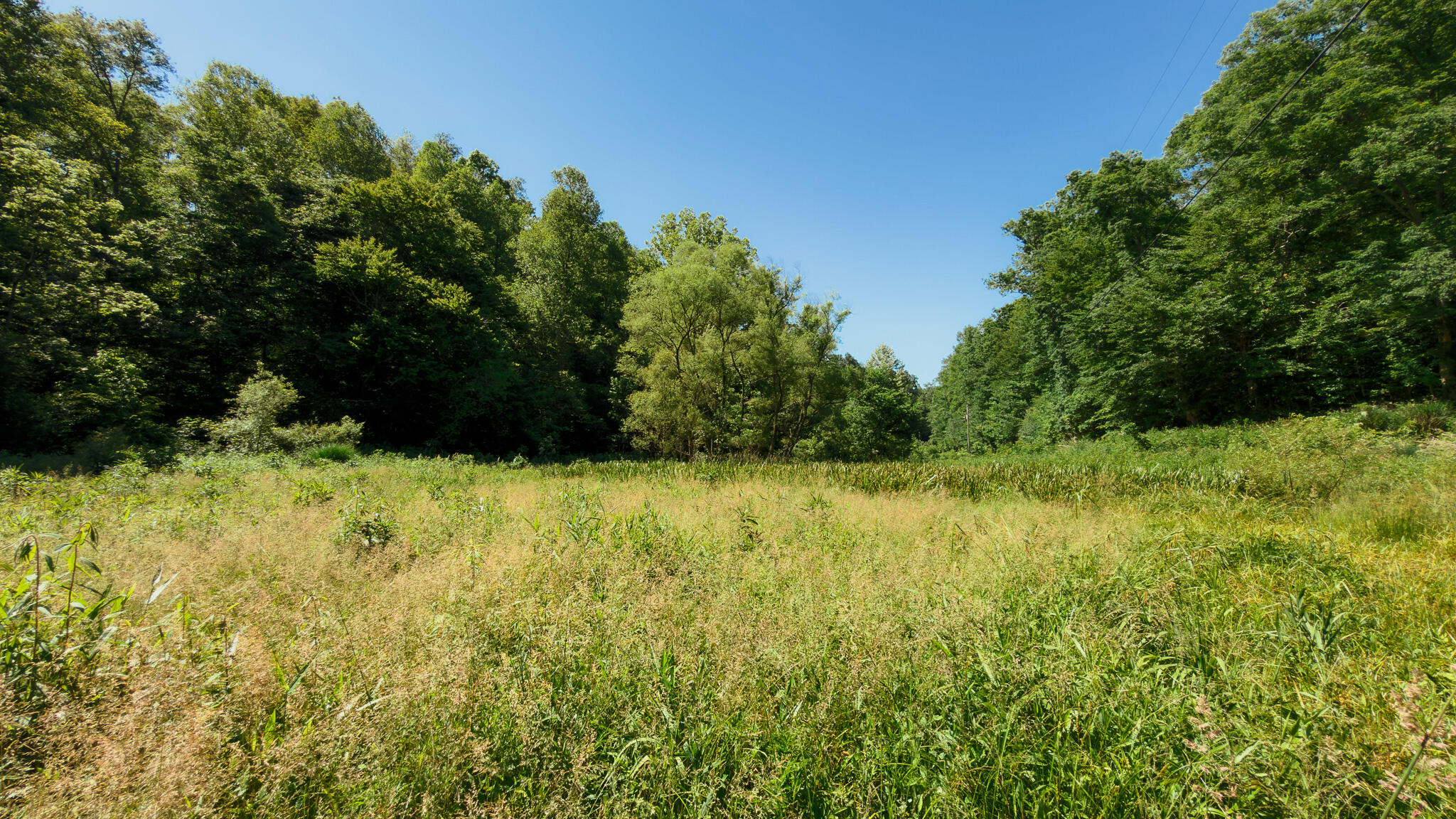 820 Shooting Fork Road Property Photo 1