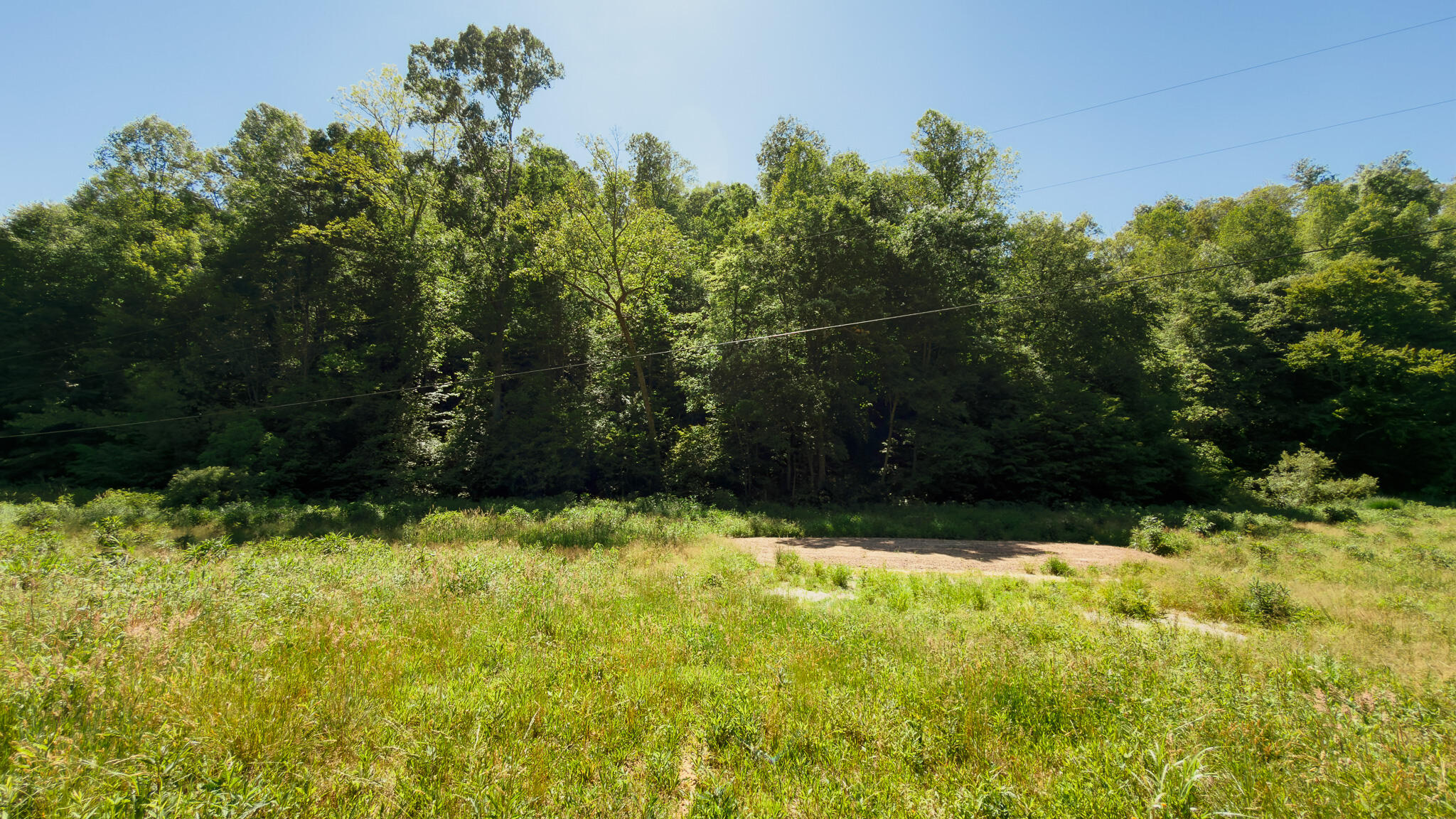 820 Shooting Fork Road Property Photo 4