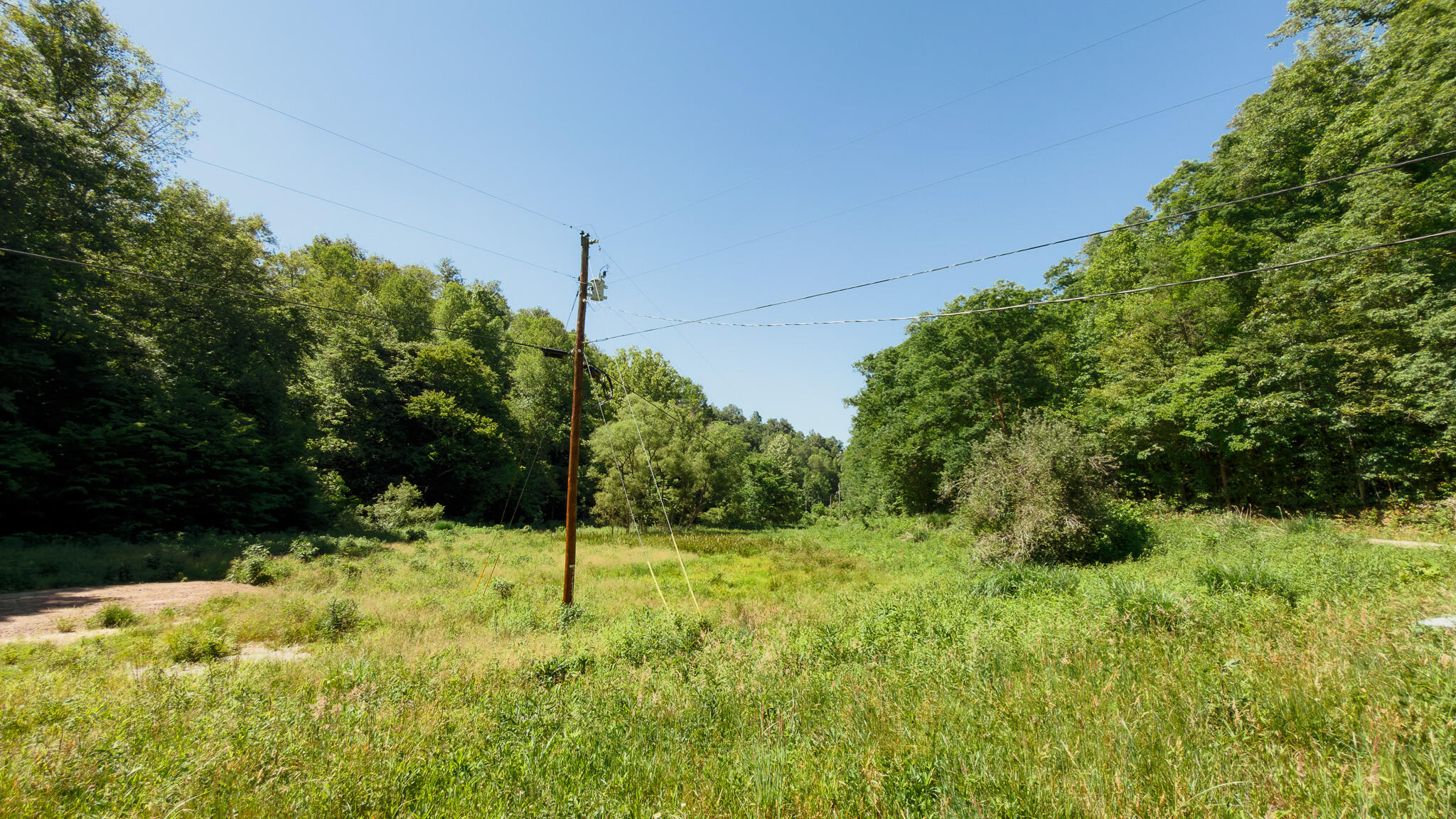 820 Shooting Fork Road Property Photo 5