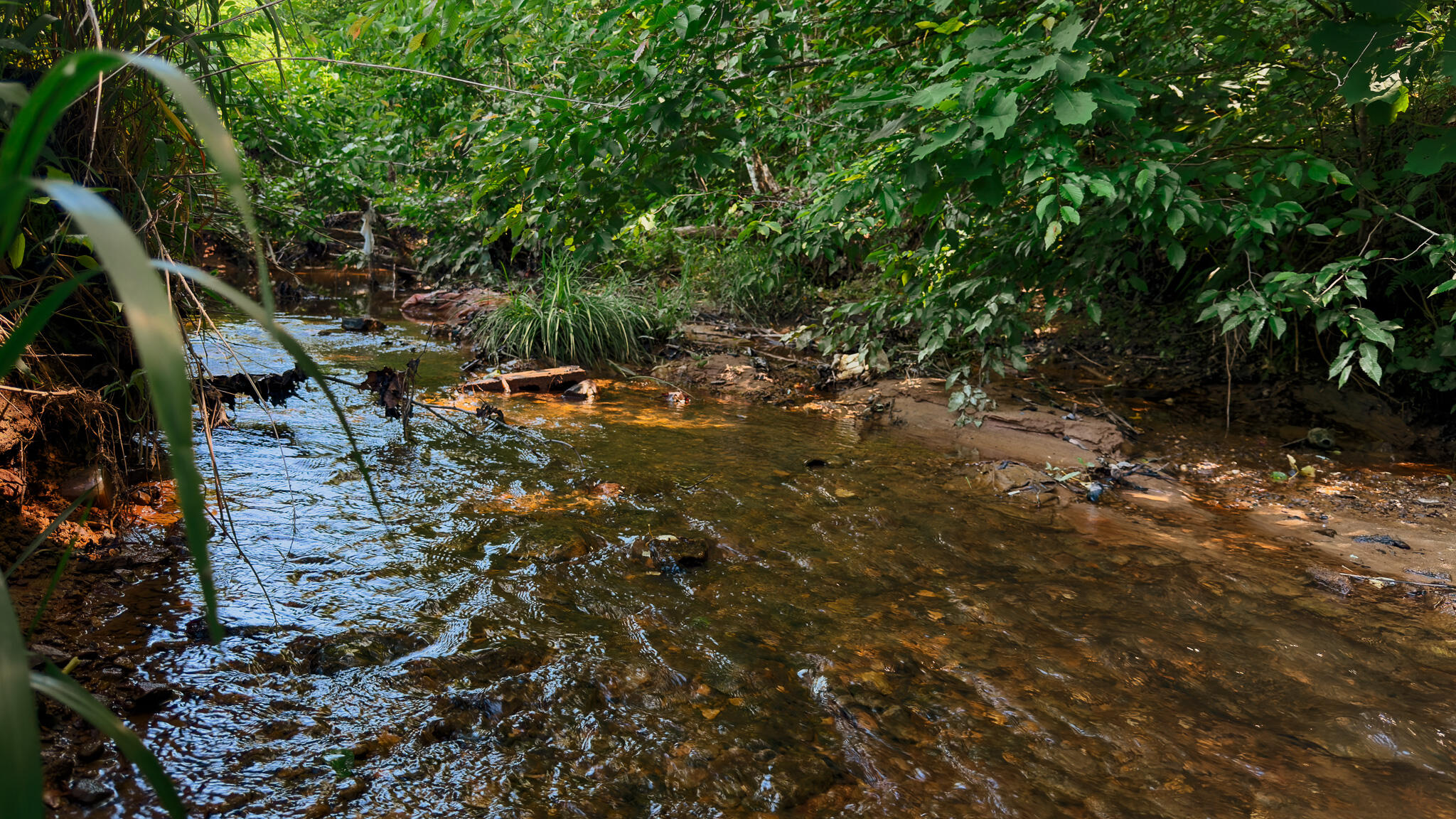 820 Shooting Fork Road Property Photo 7