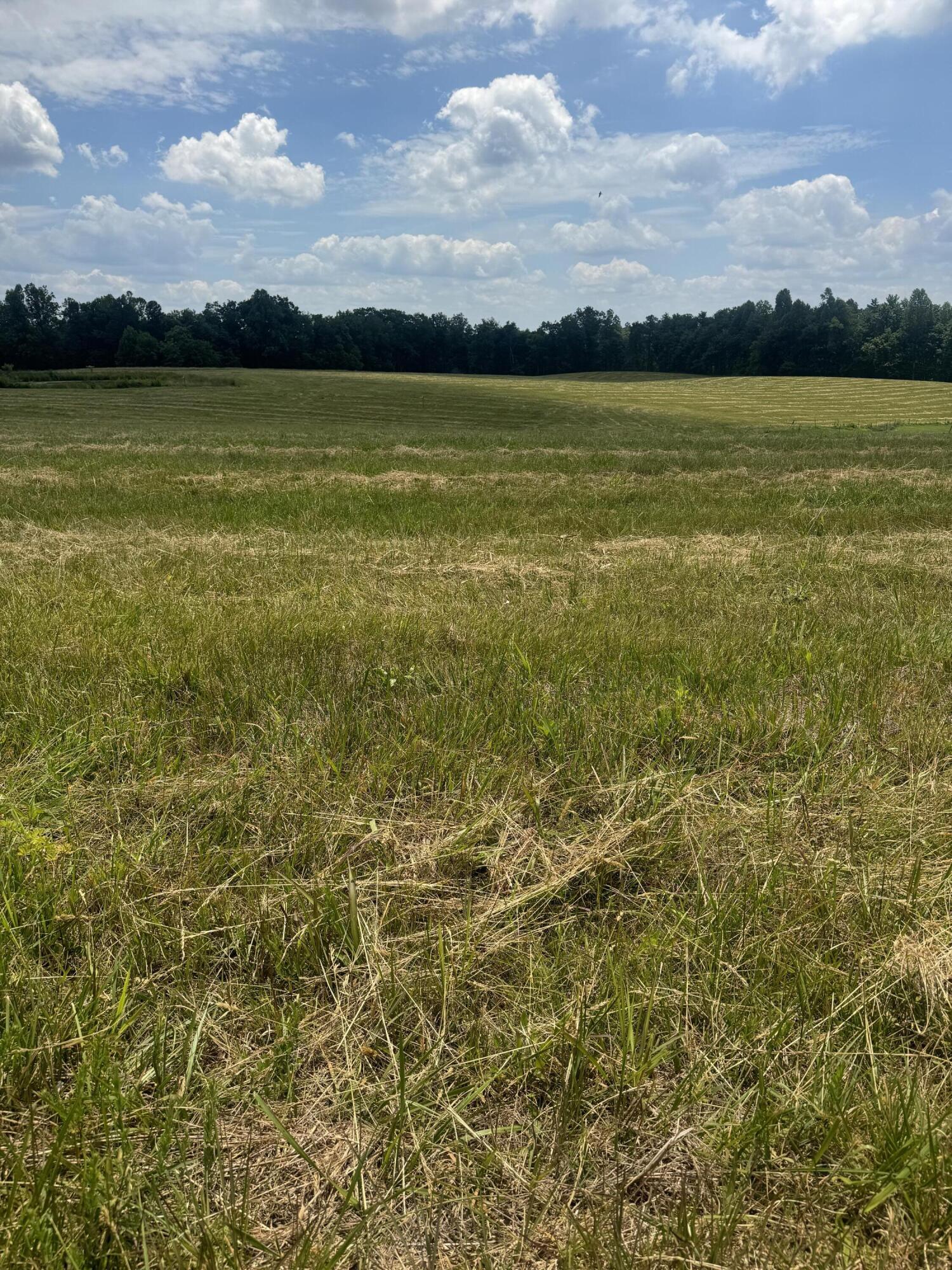 001 Upper Dry Fork Rd 1 Property Photo 1