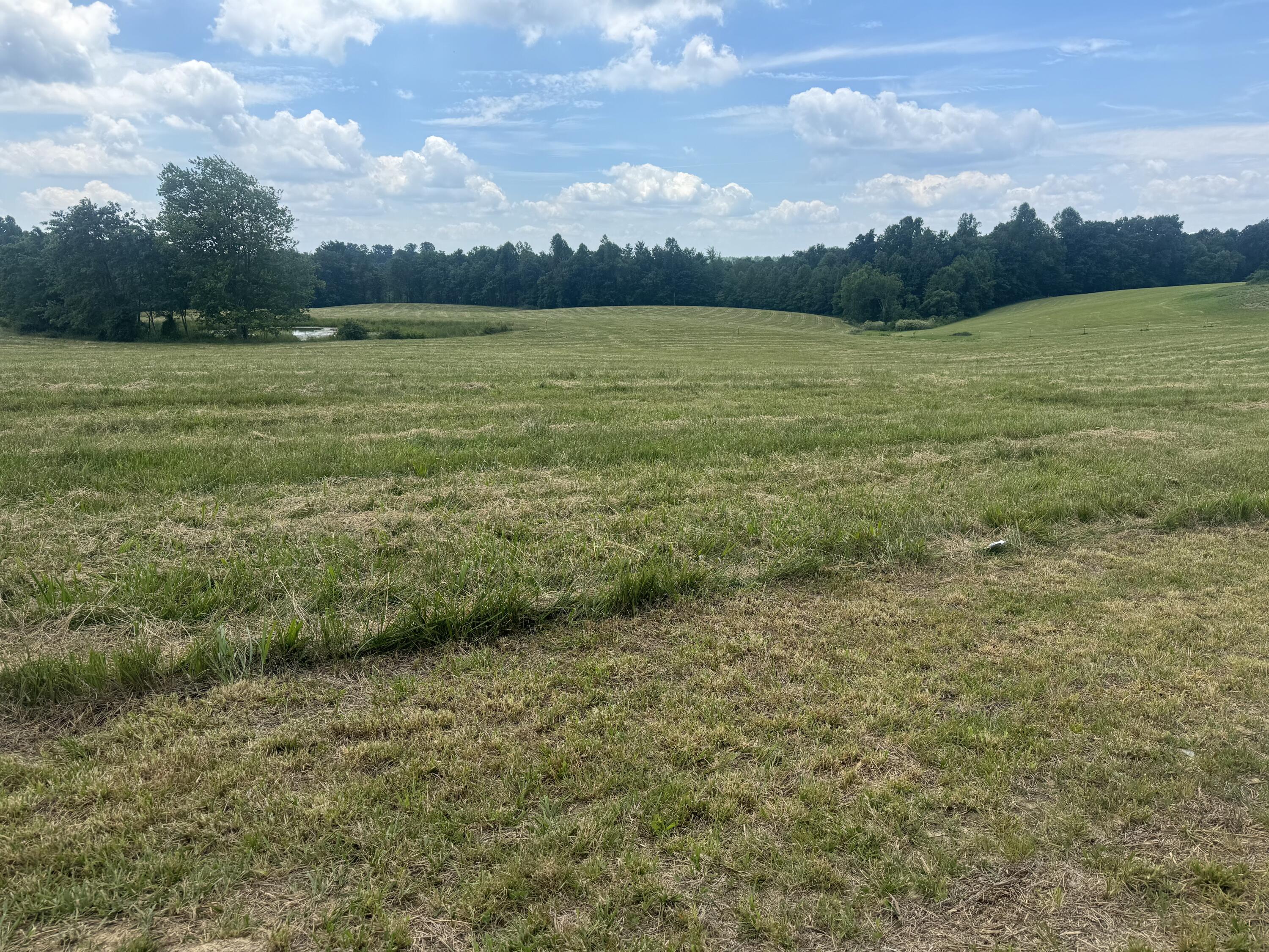 003 Upper Dry Fork Rd 3 Property Photo 2
