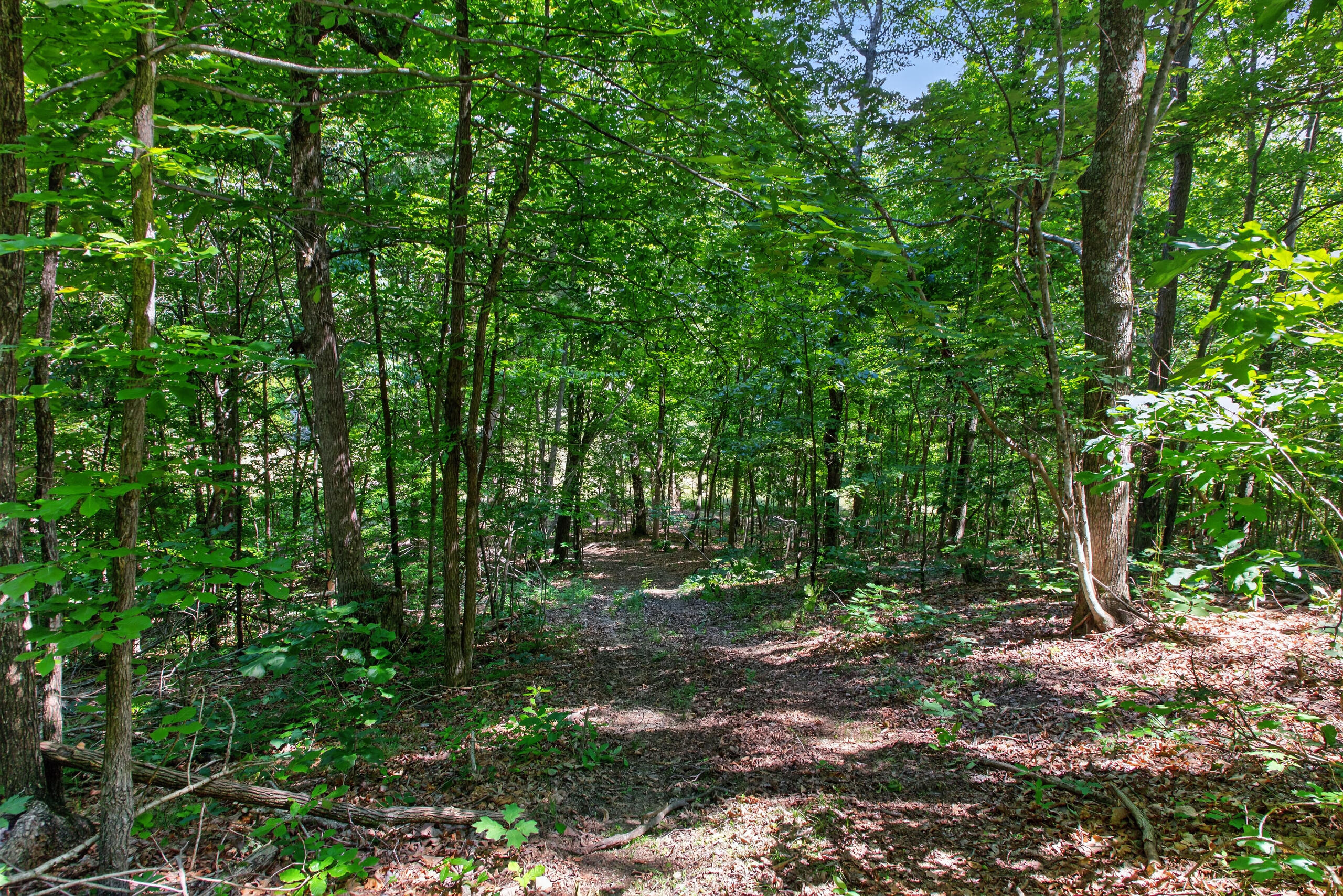 2953 Harmons Lick Road Property Photo 3