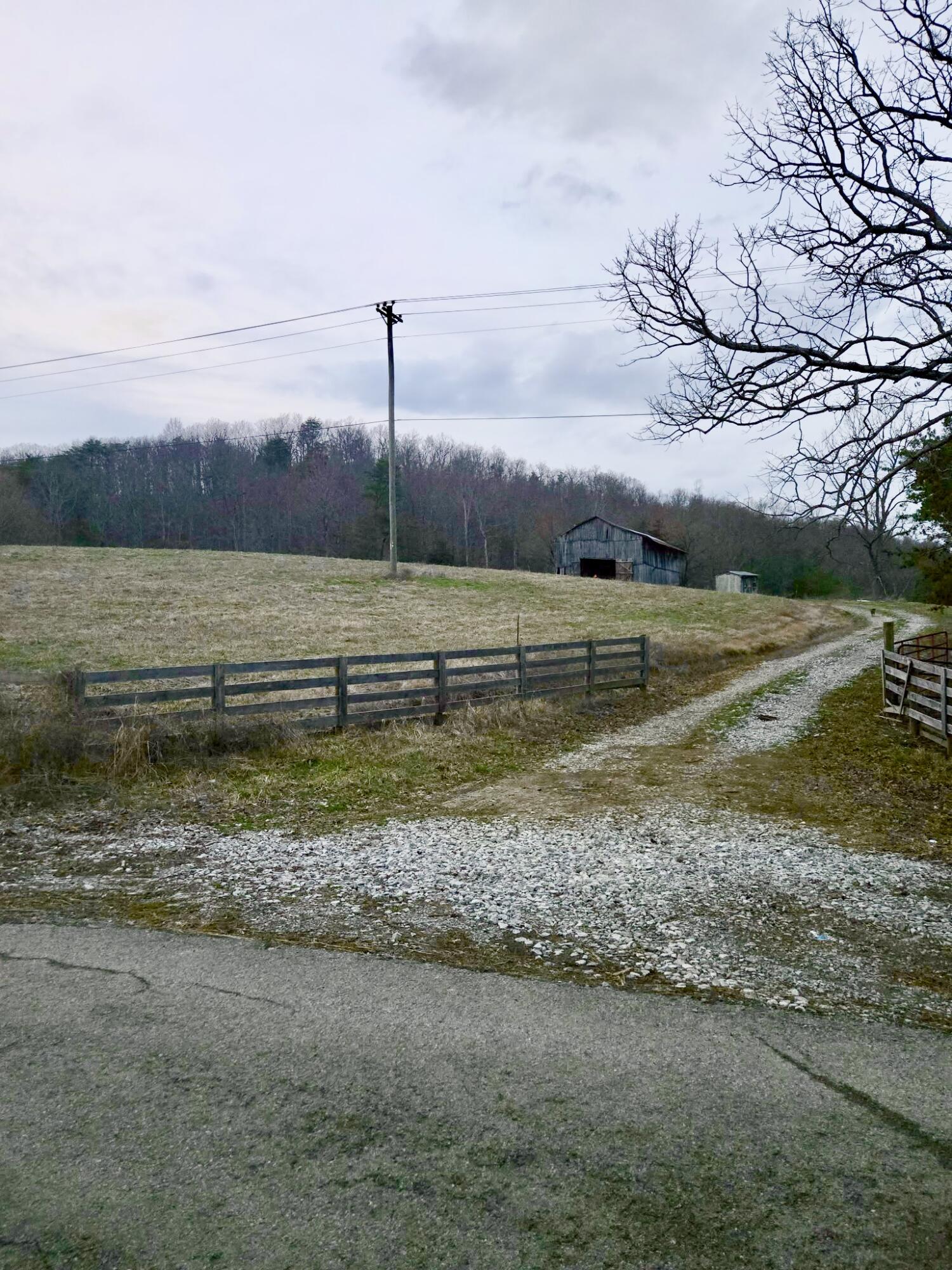 2953 Harmons Lick Road Property Photo 5