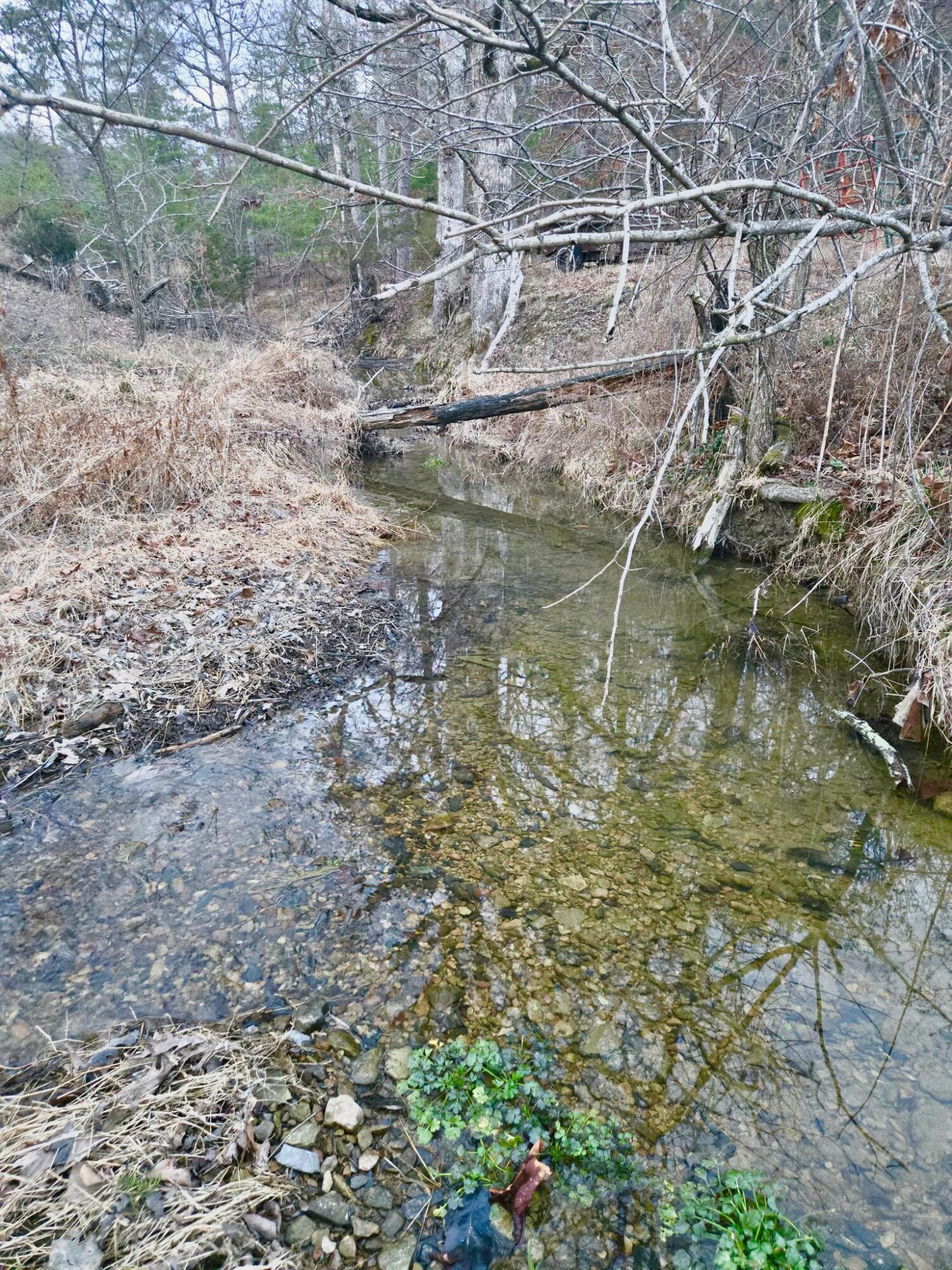 2953 Harmons Lick Road Property Photo 6