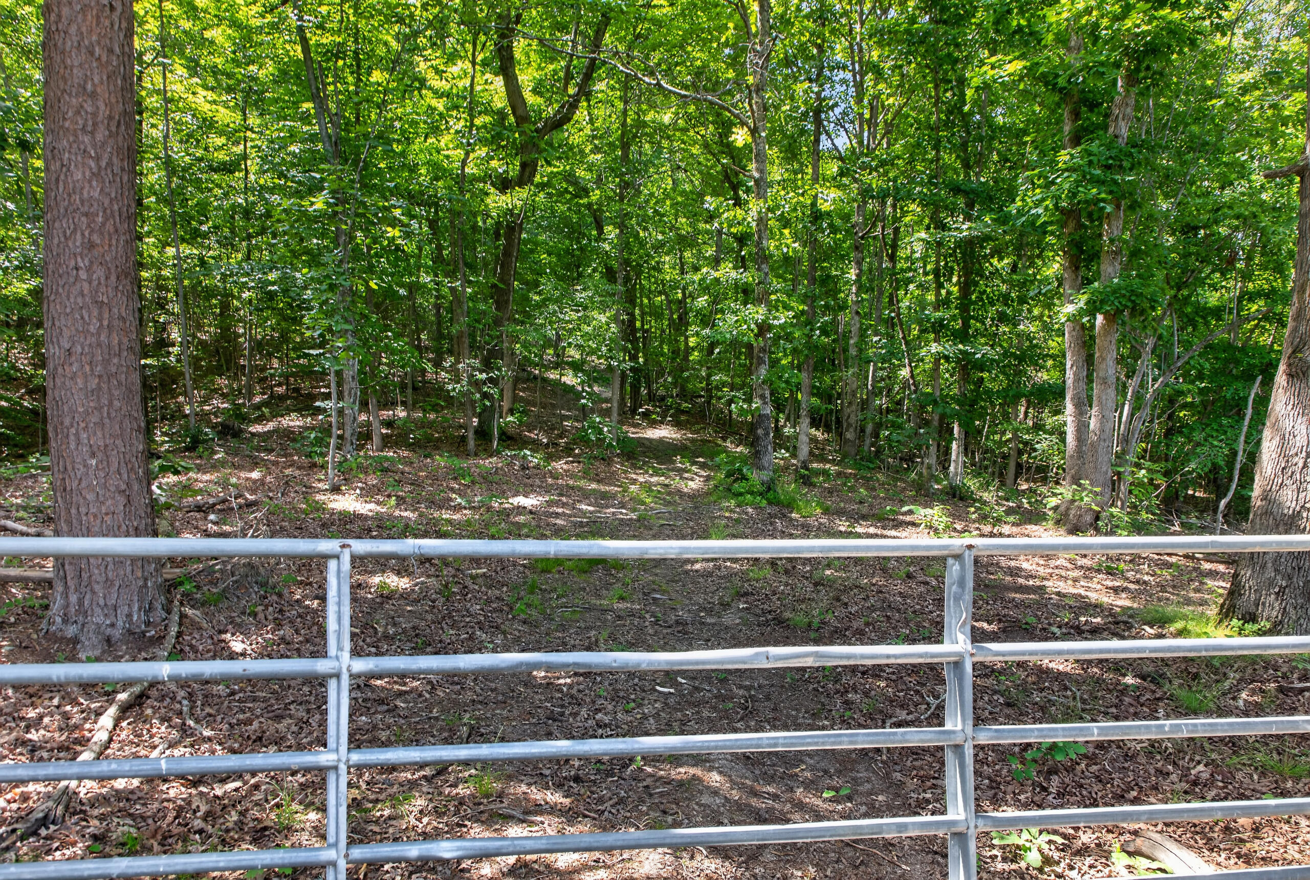 2953 Harmons Lick Road Property Photo 7