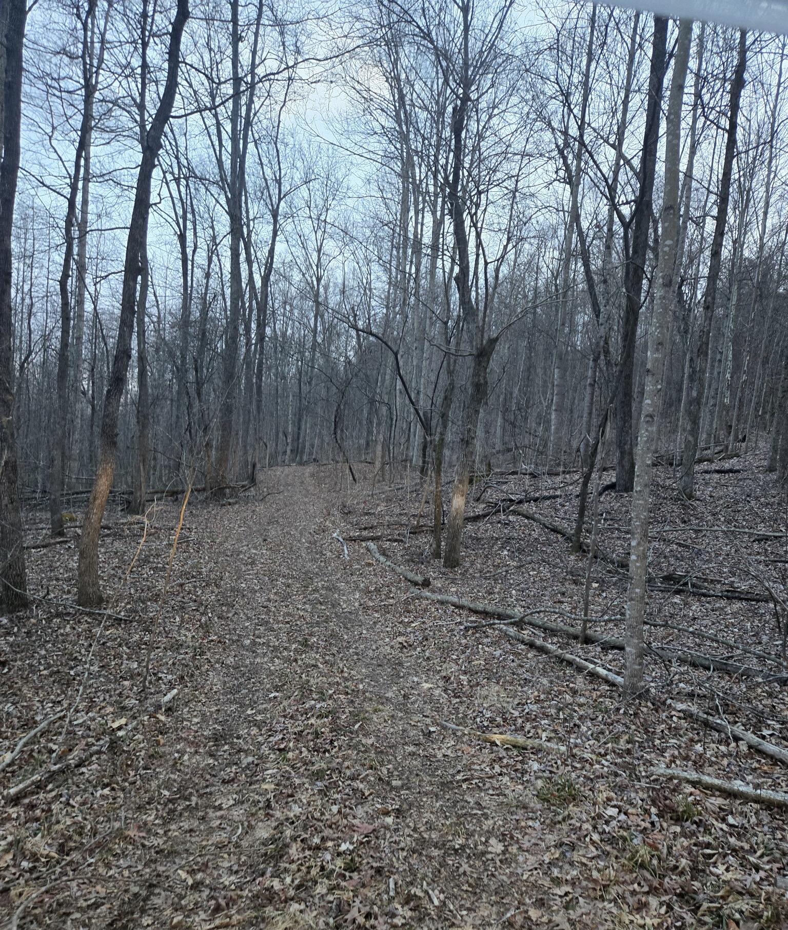 2953 Harmons Lick Road Property Photo 11