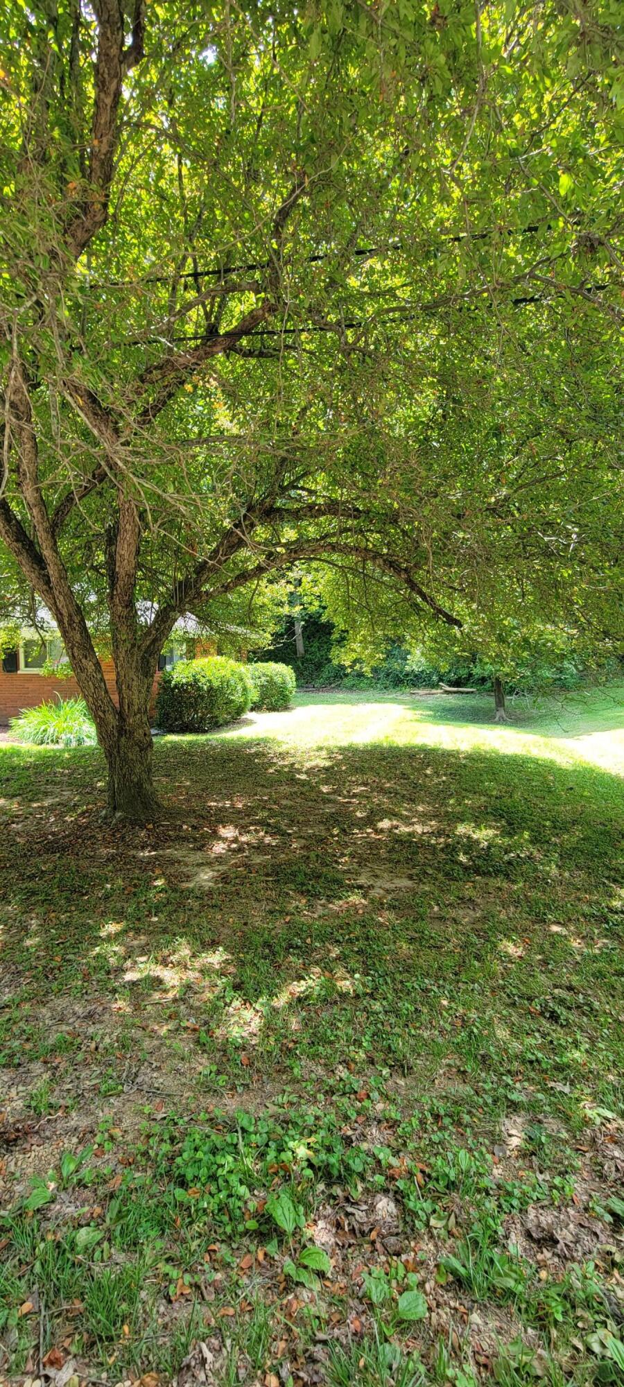 1217 Knapp Avenue Property Photo 28