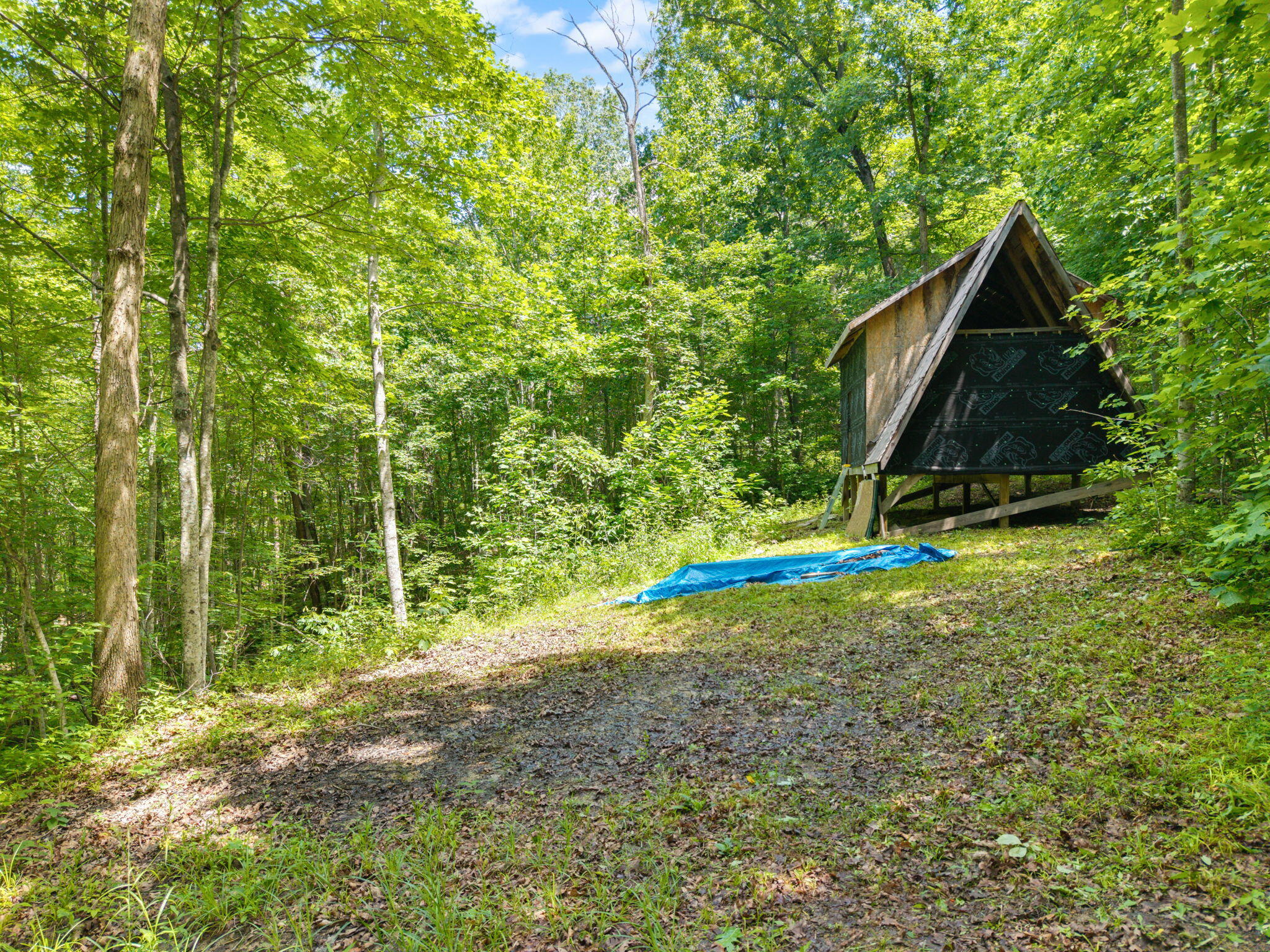 86 Clark Road Property Photo 3
