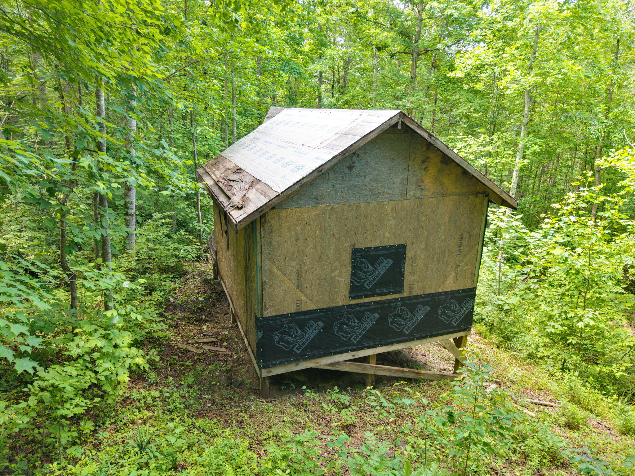 86 Clark Road Property Photo 4