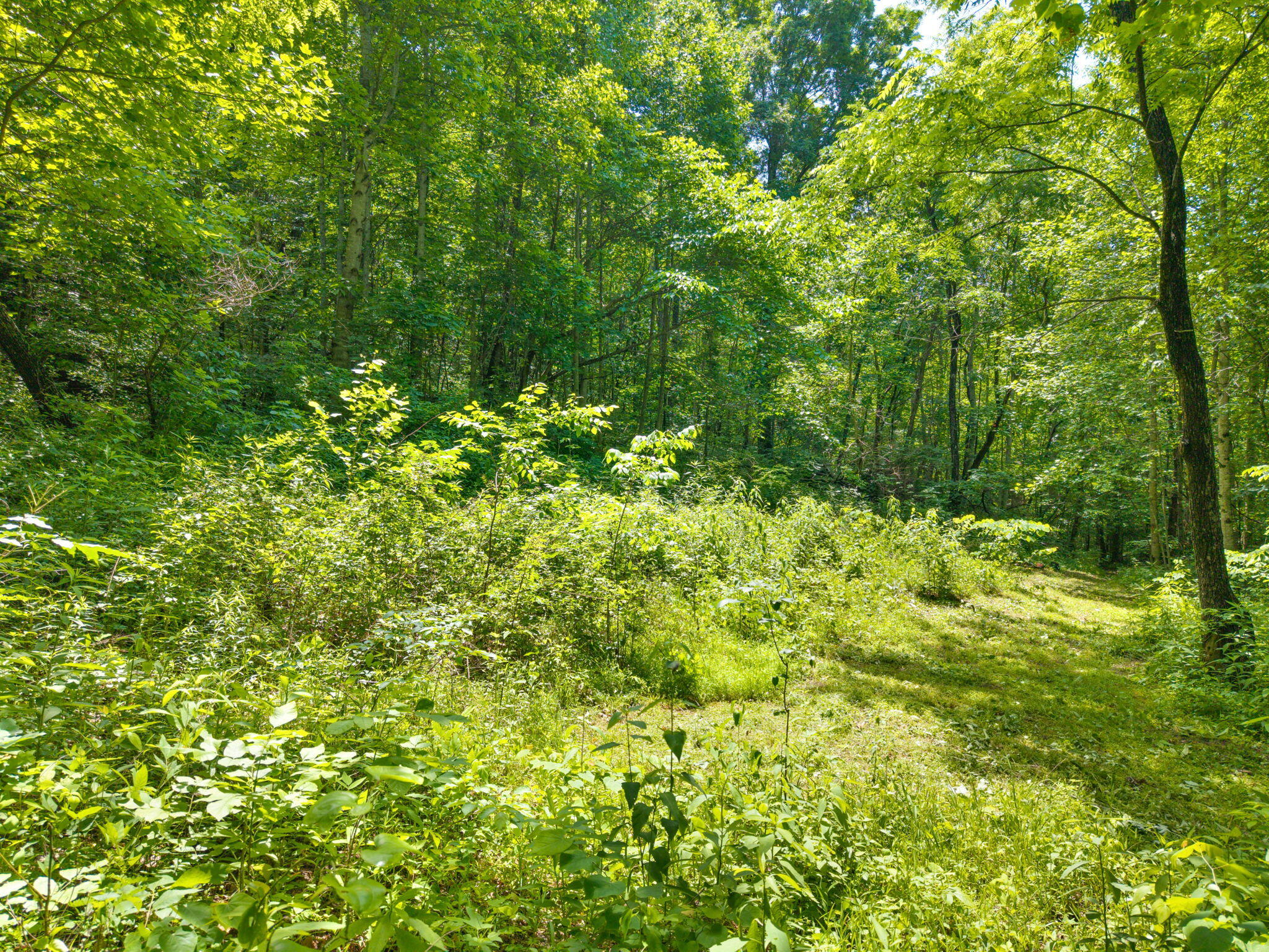 86 Clark Road Property Photo 5