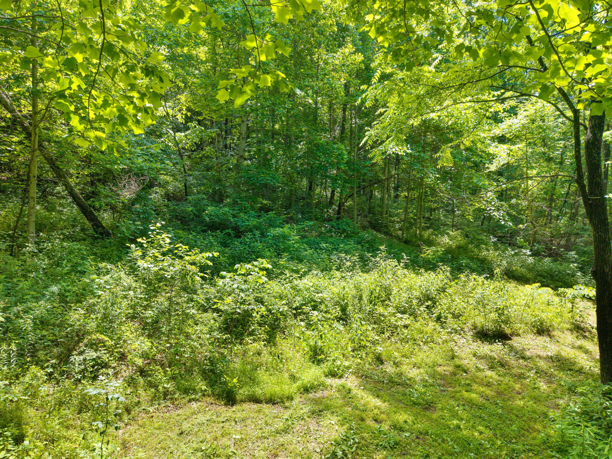 86 Clark Road Property Photo 6