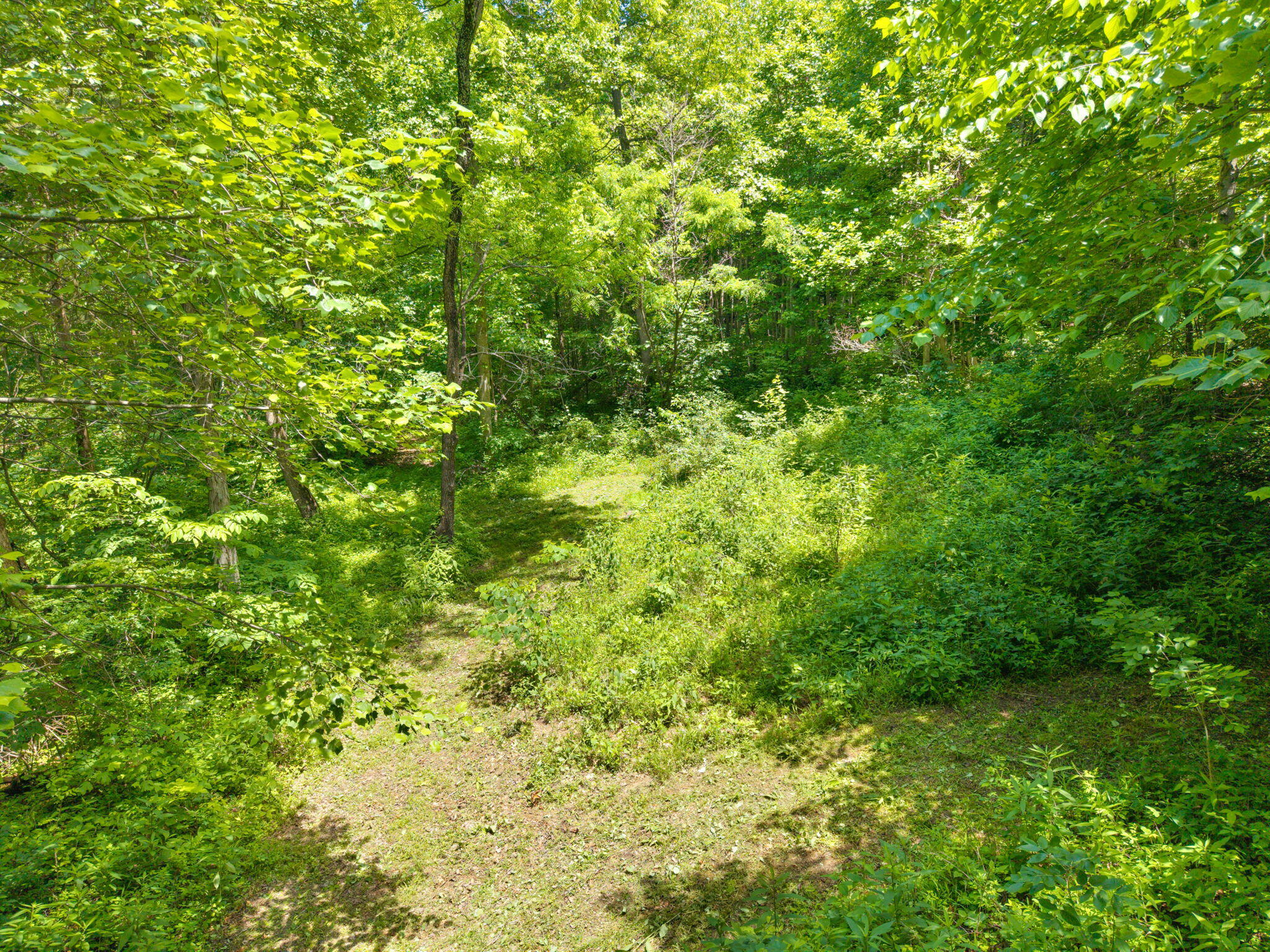 86 Clark Road Property Photo 7