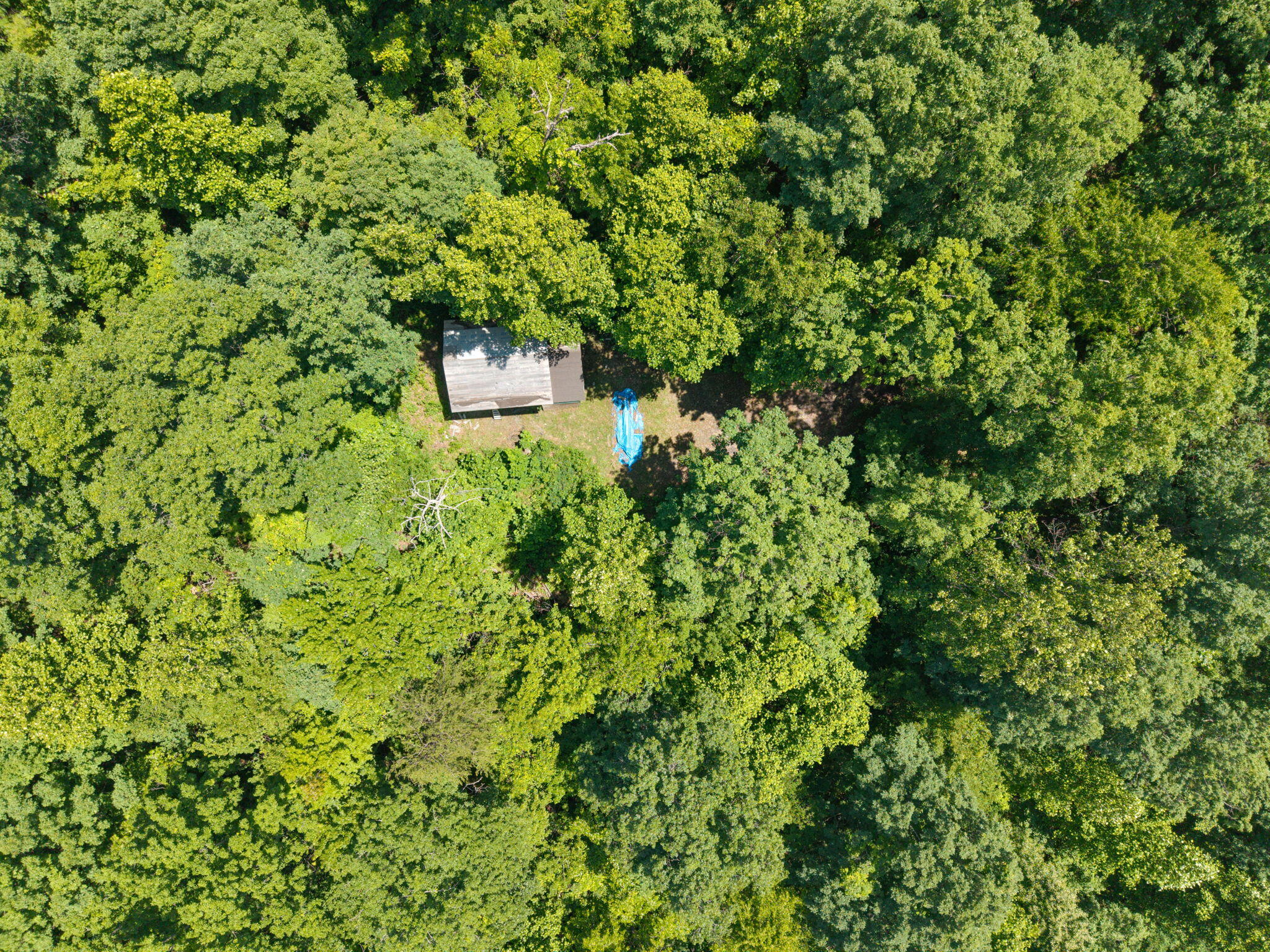 86 Clark Road Property Photo 19