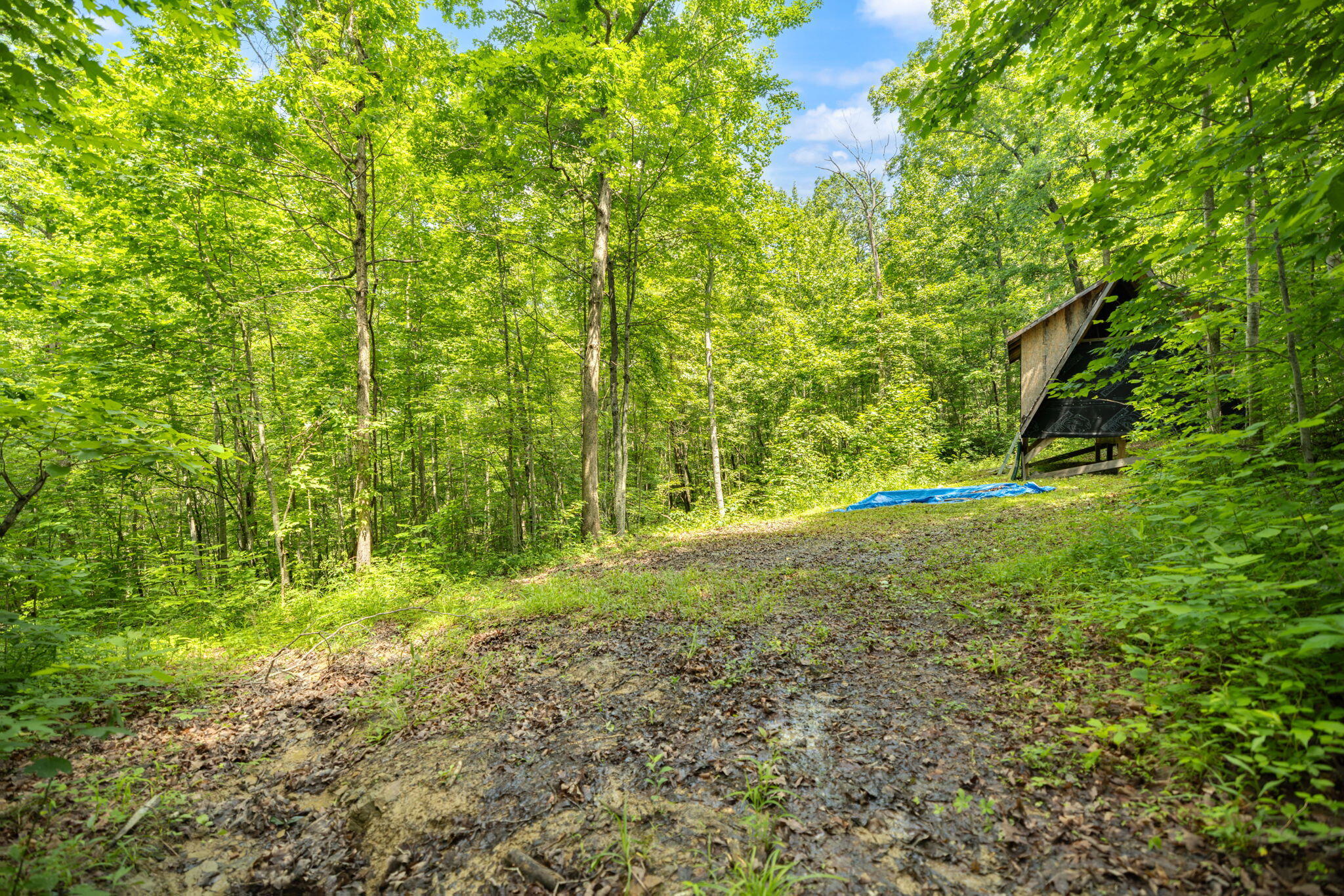 86 Clark Road Property Photo 20
