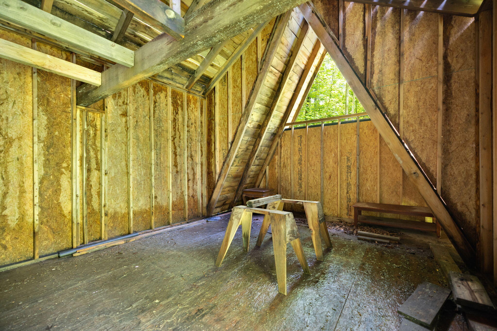 86 Clark Road Property Photo 22