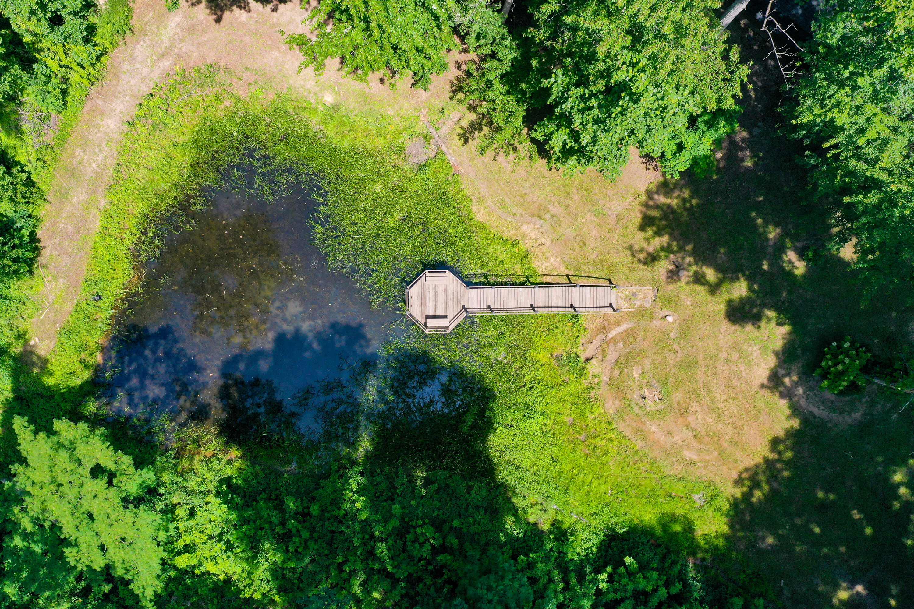 51 Tamarack Trace Property Photo 6