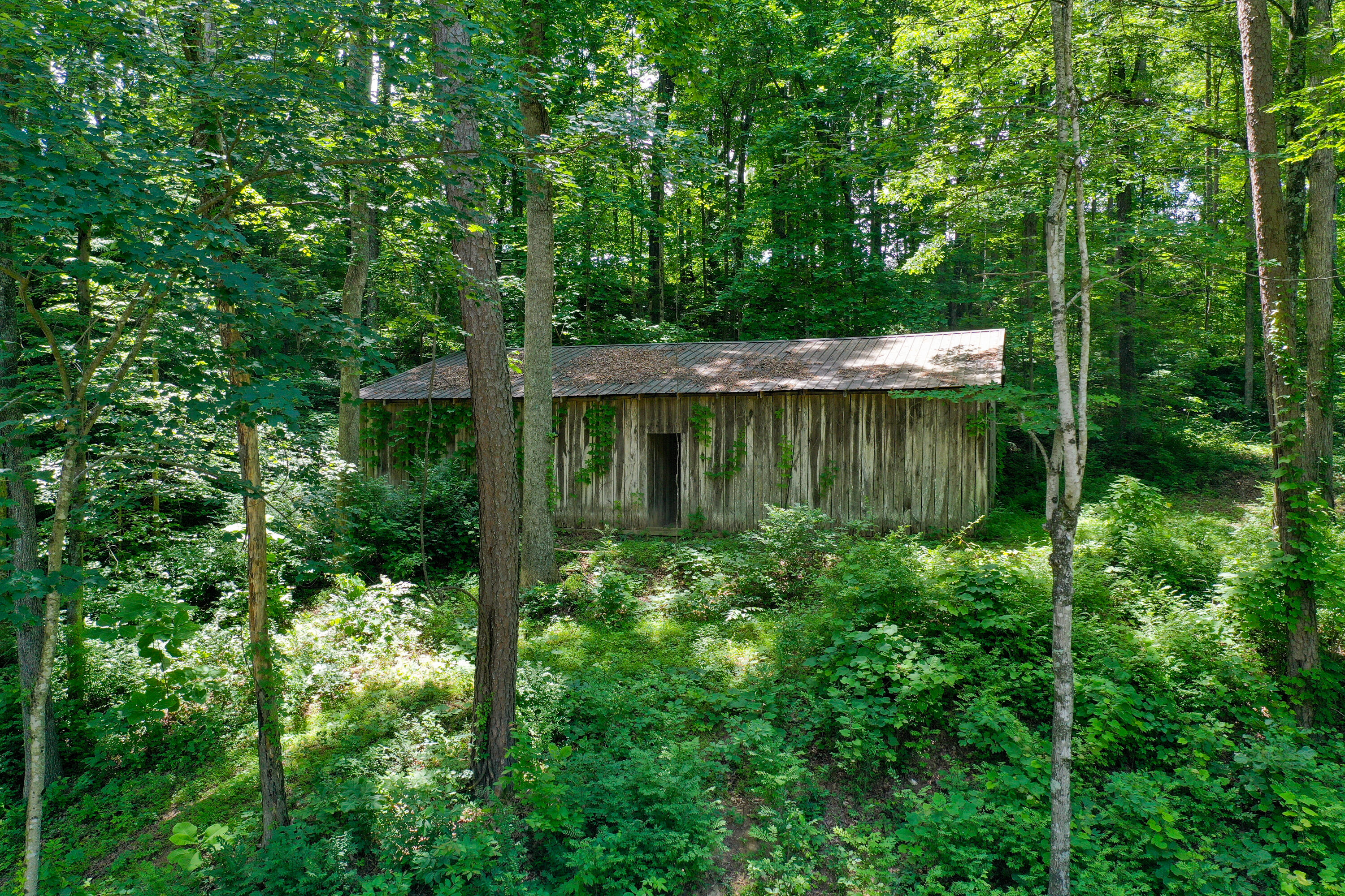 51 Tamarack Trace Property Photo 44