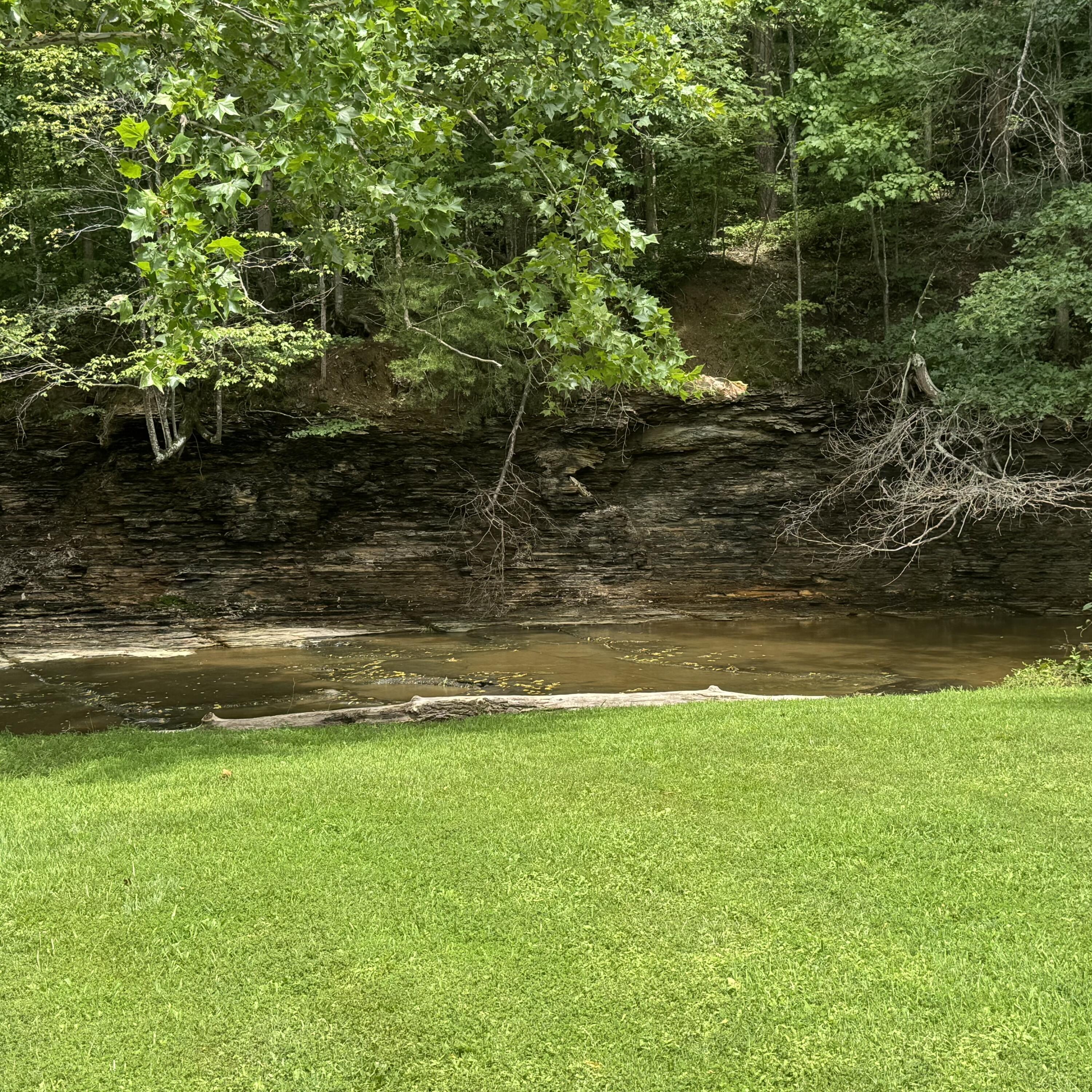 109 Dillon Court Property Photo 18