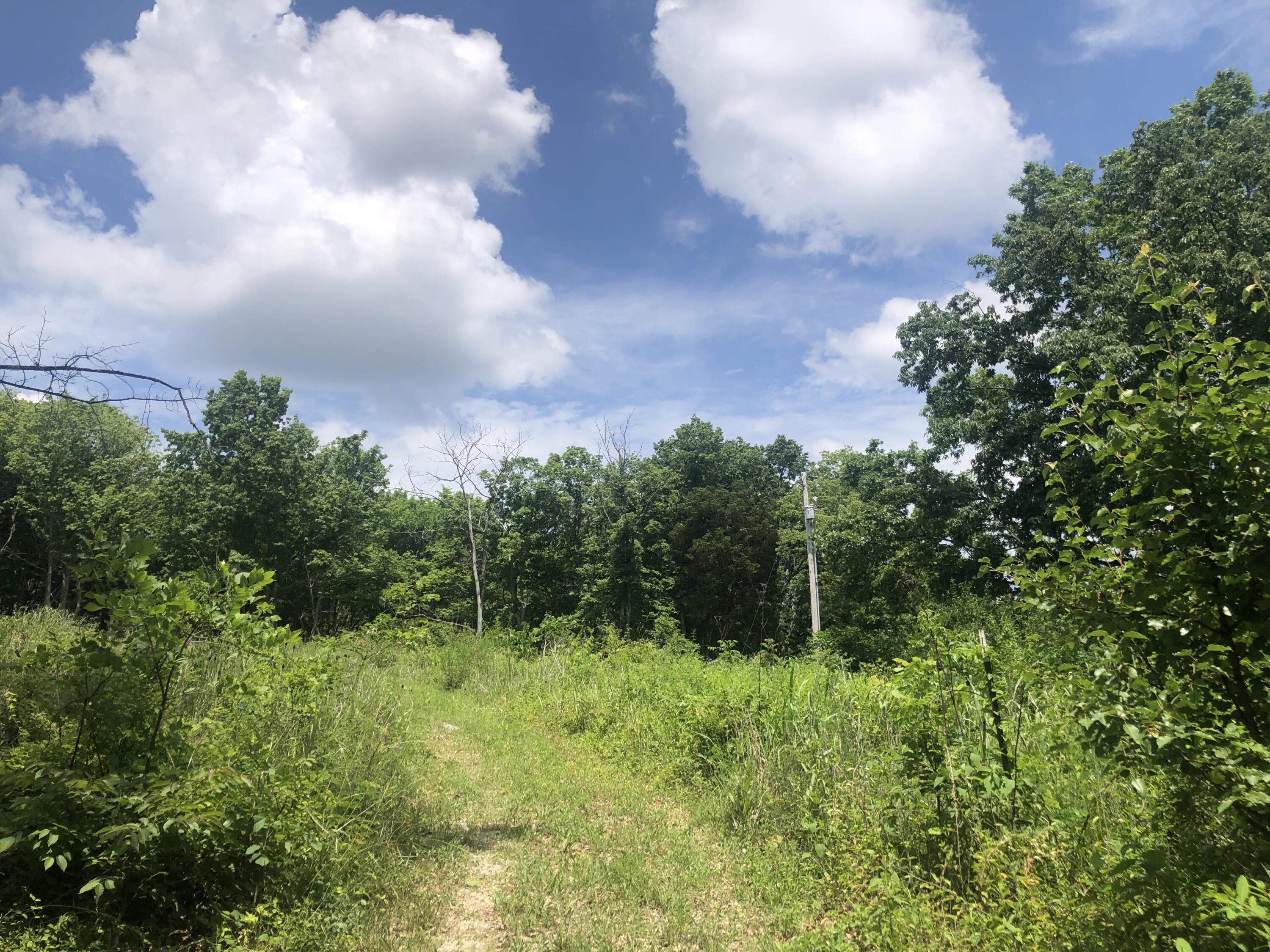 2.2 Acres Tract 1 Lock Road Property Photo 2