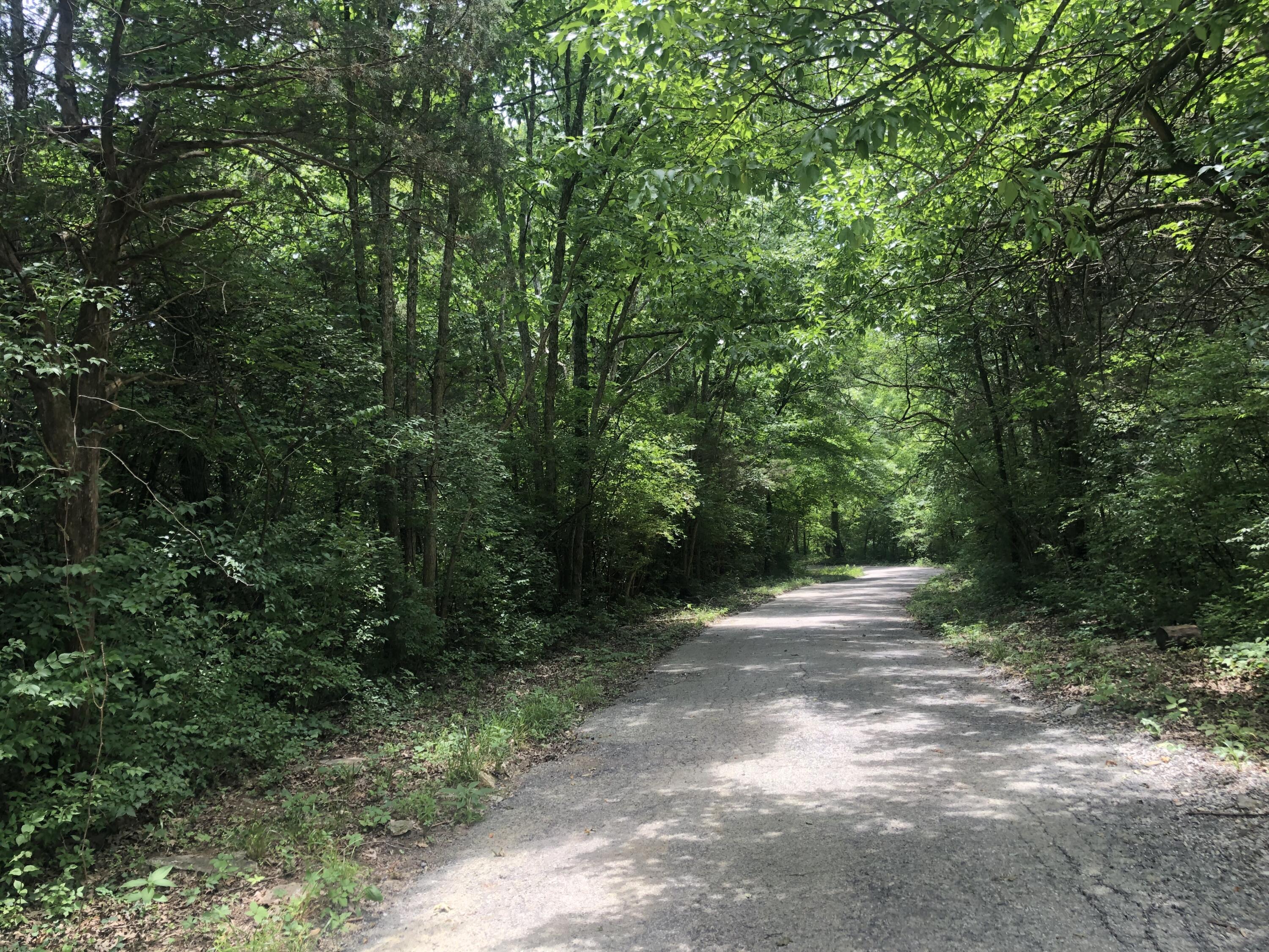 2.2 Acres Tract 1 Lock Road Property Photo 6