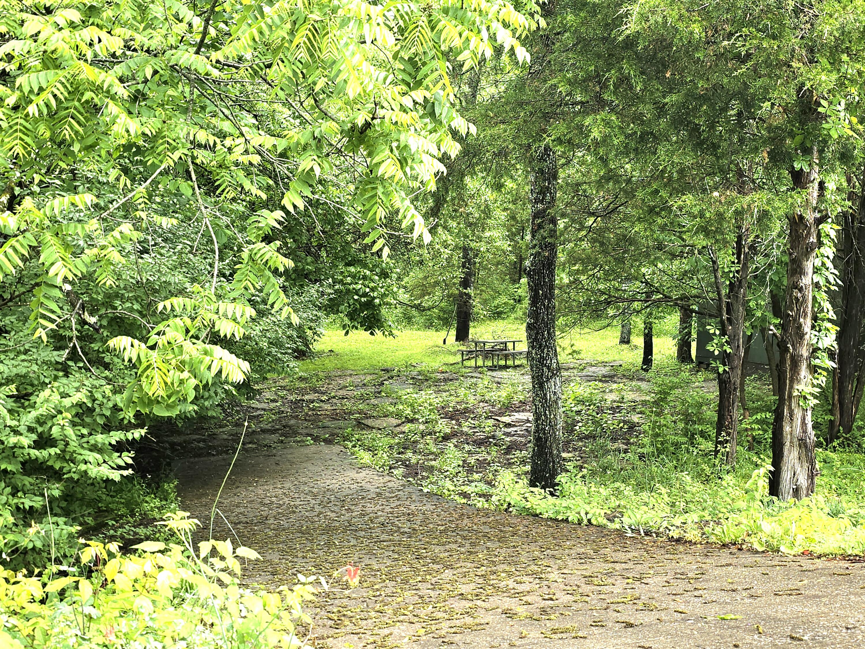 105 Summeridge Road Property Photo 10