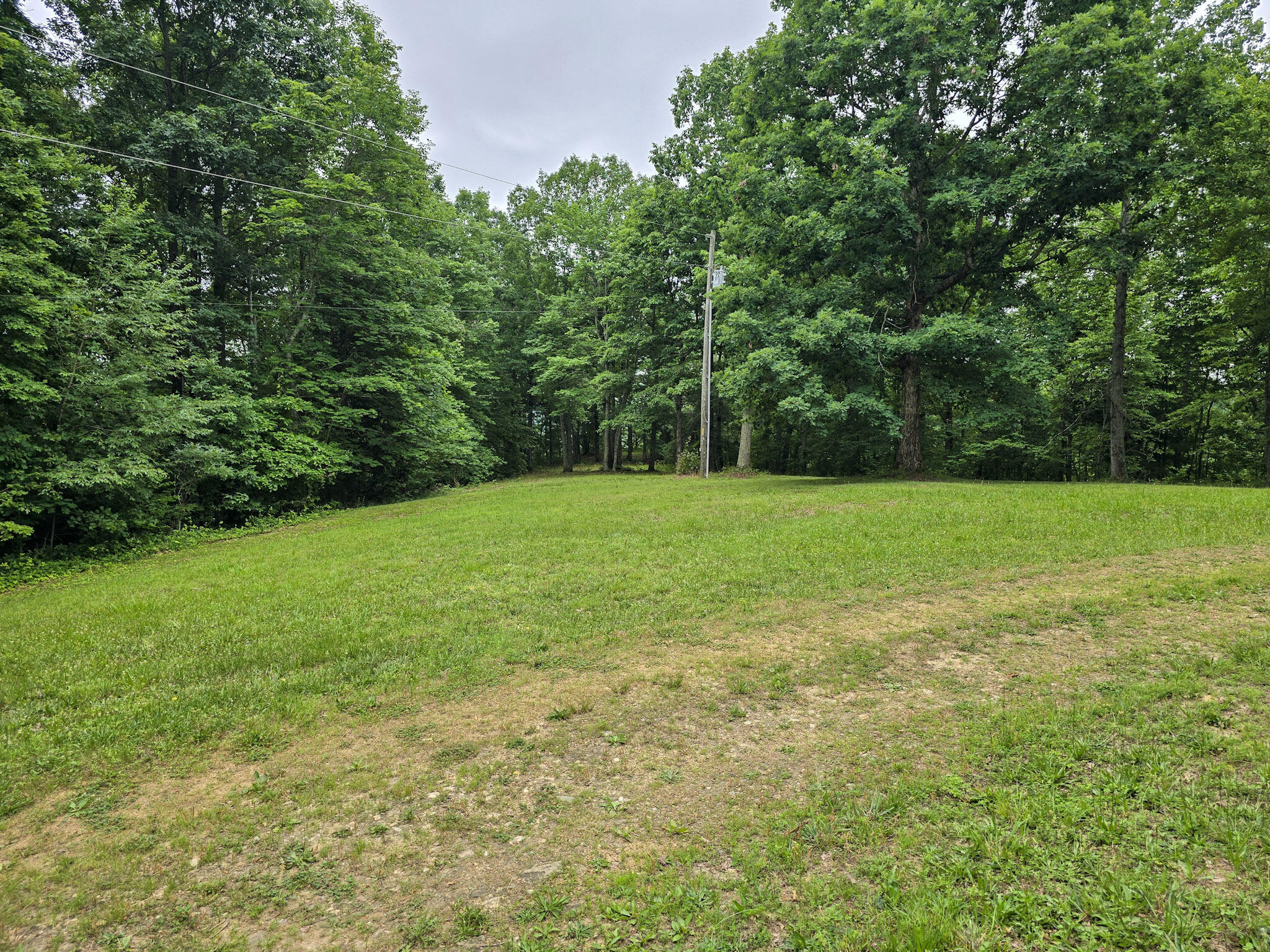 1803 Patsy Riffe Road Property Photo 46