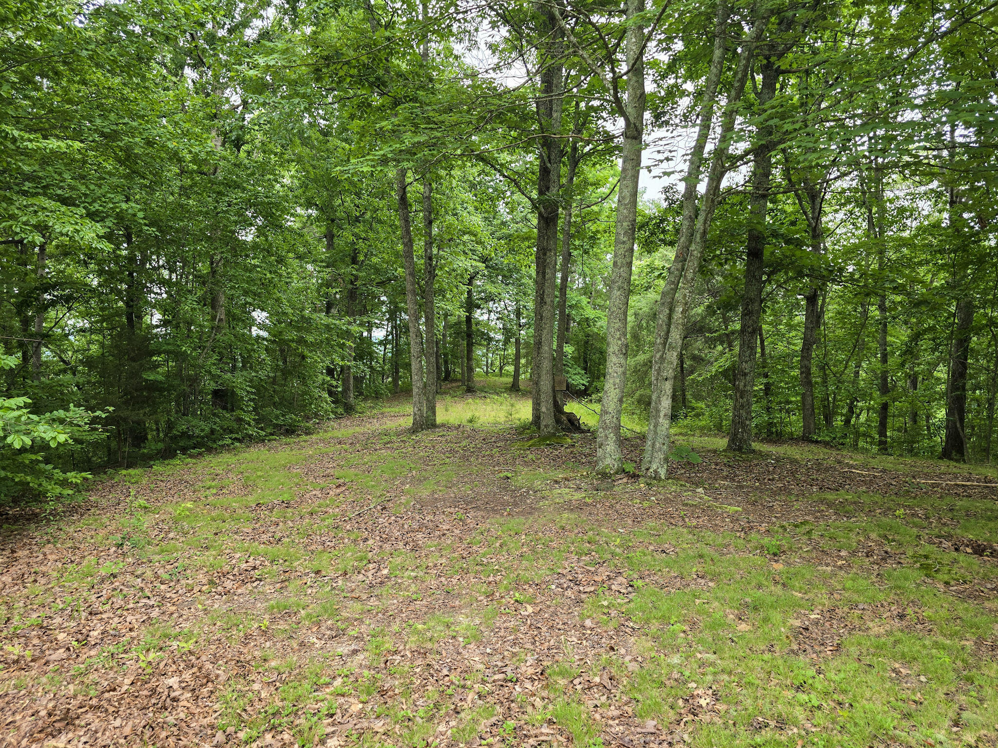 1803 Patsy Riffe Road Property Photo 47