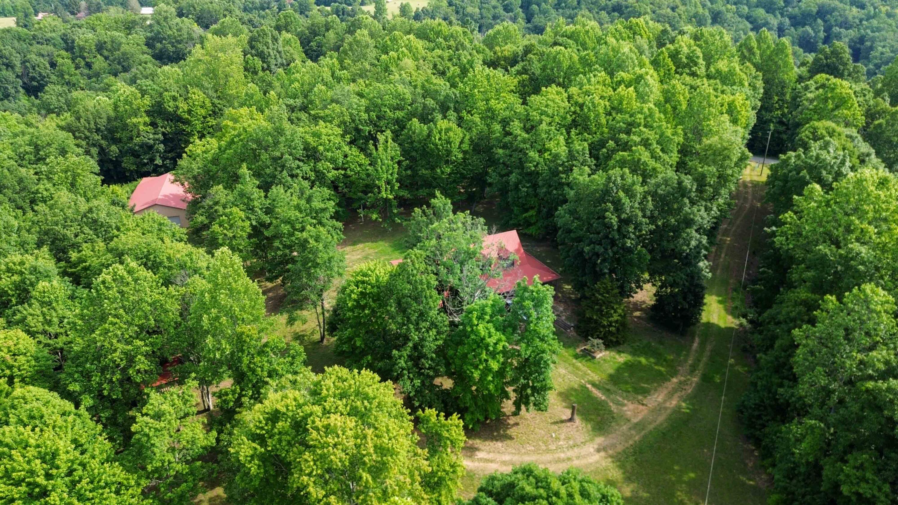 1803 Patsy Riffe Road Property Photo 61