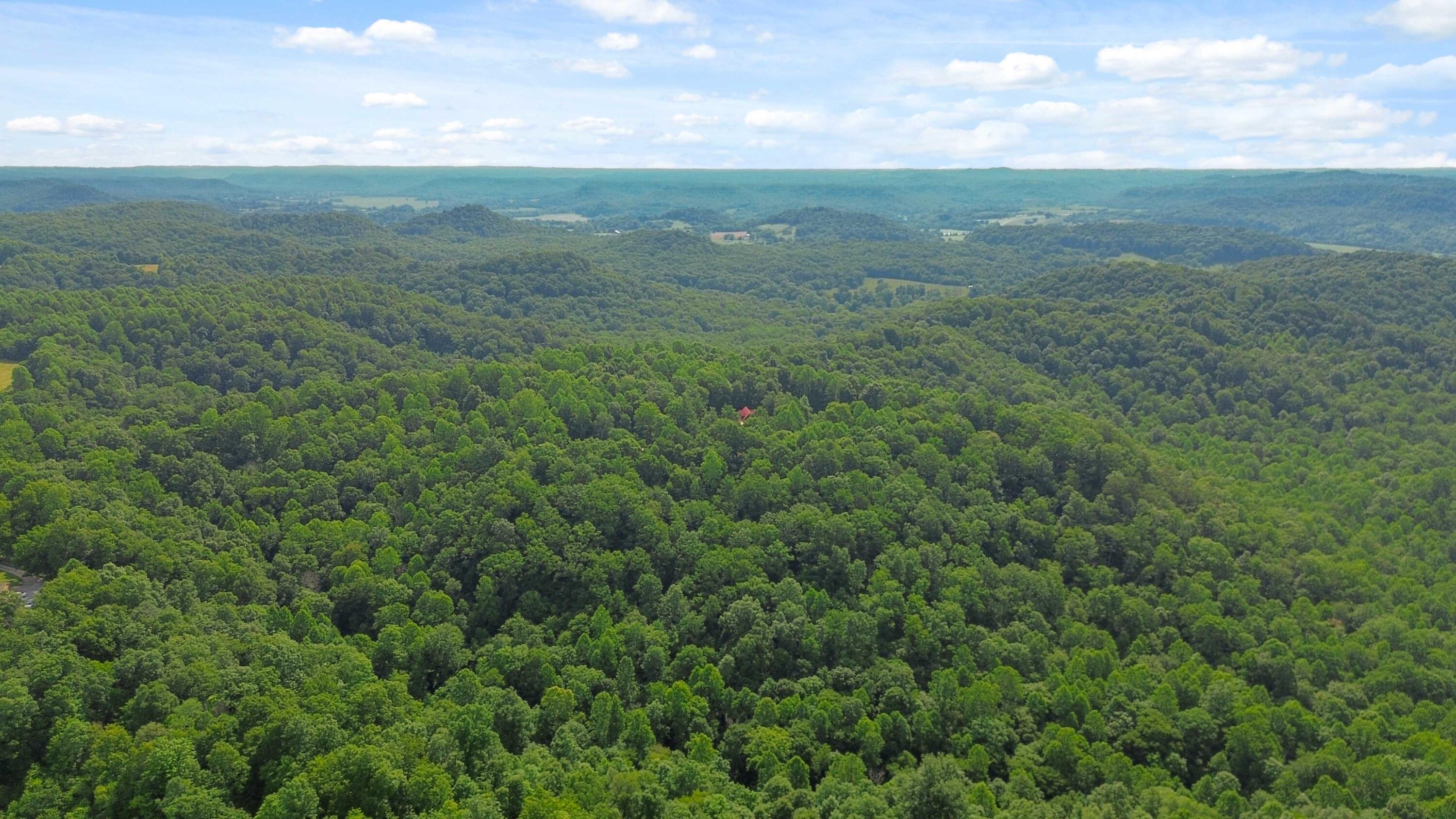 1803 Patsy Riffe Road Property Photo 66