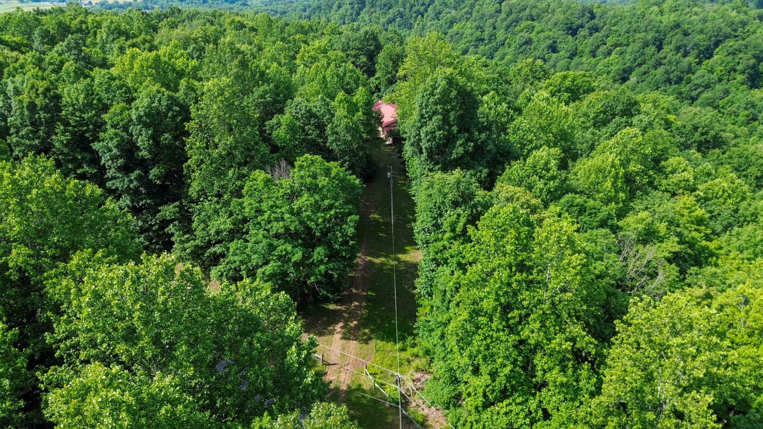 1803 Patsy Riffe Road Property Photo 69