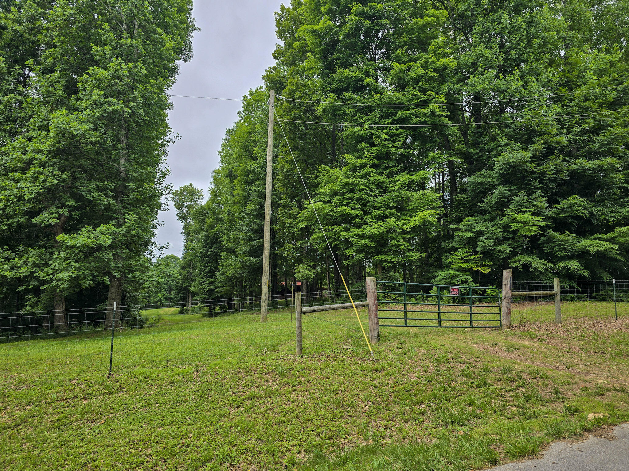 1803 Patsy Riffe Road Property Photo 71