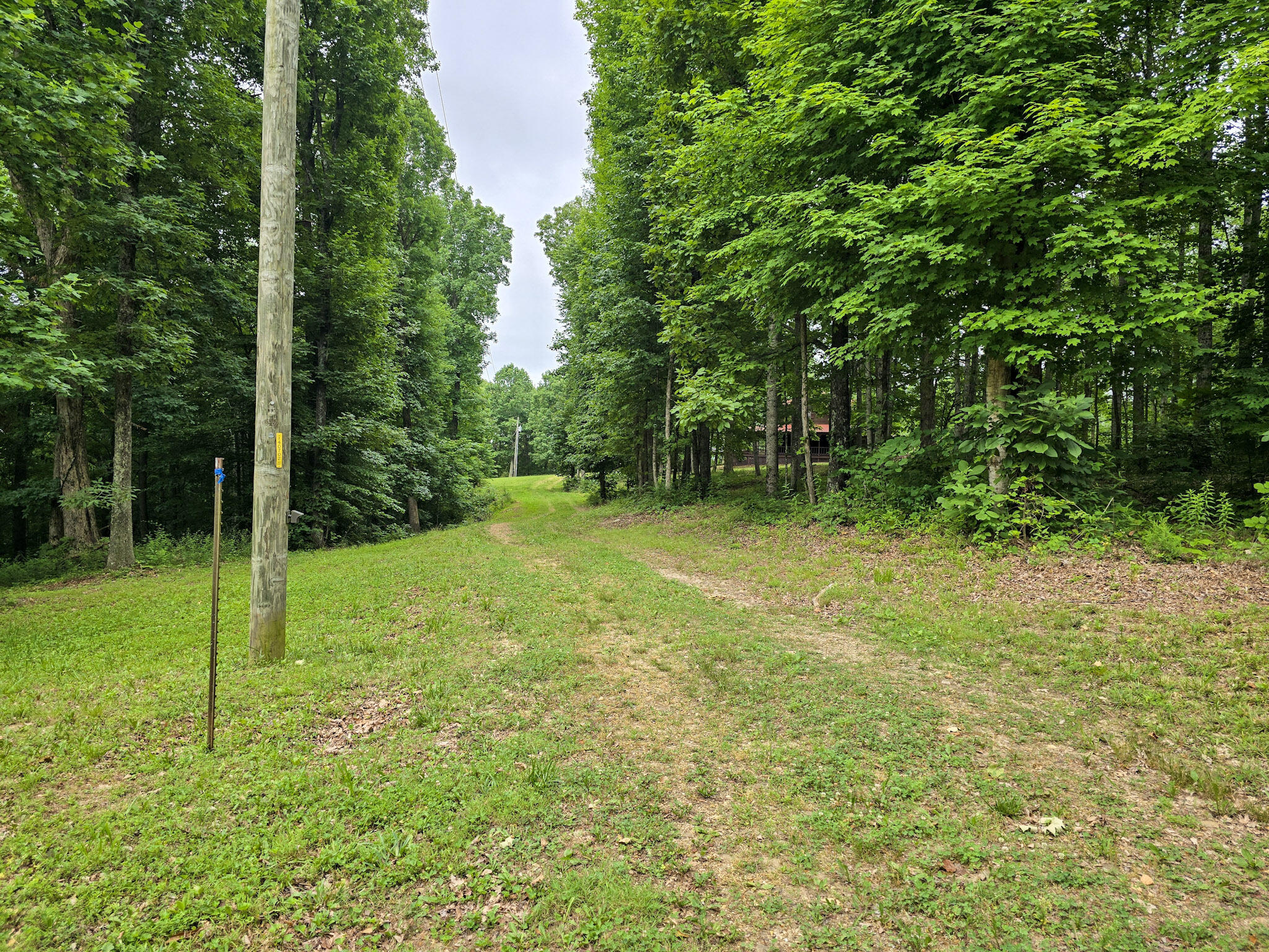 1803 Patsy Riffe Road Property Photo 72