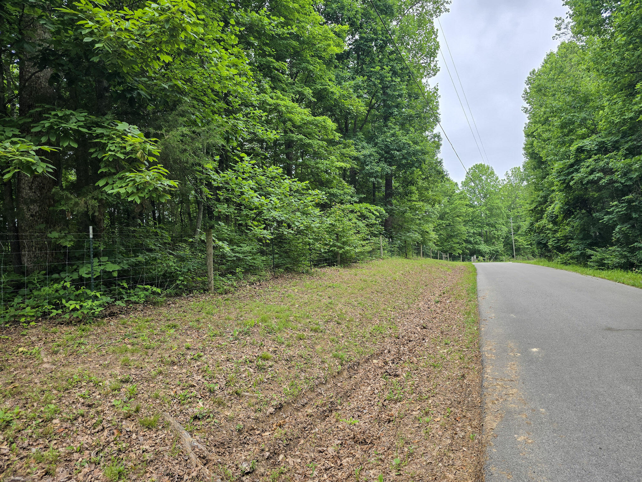 1803 Patsy Riffe Road Property Photo 73