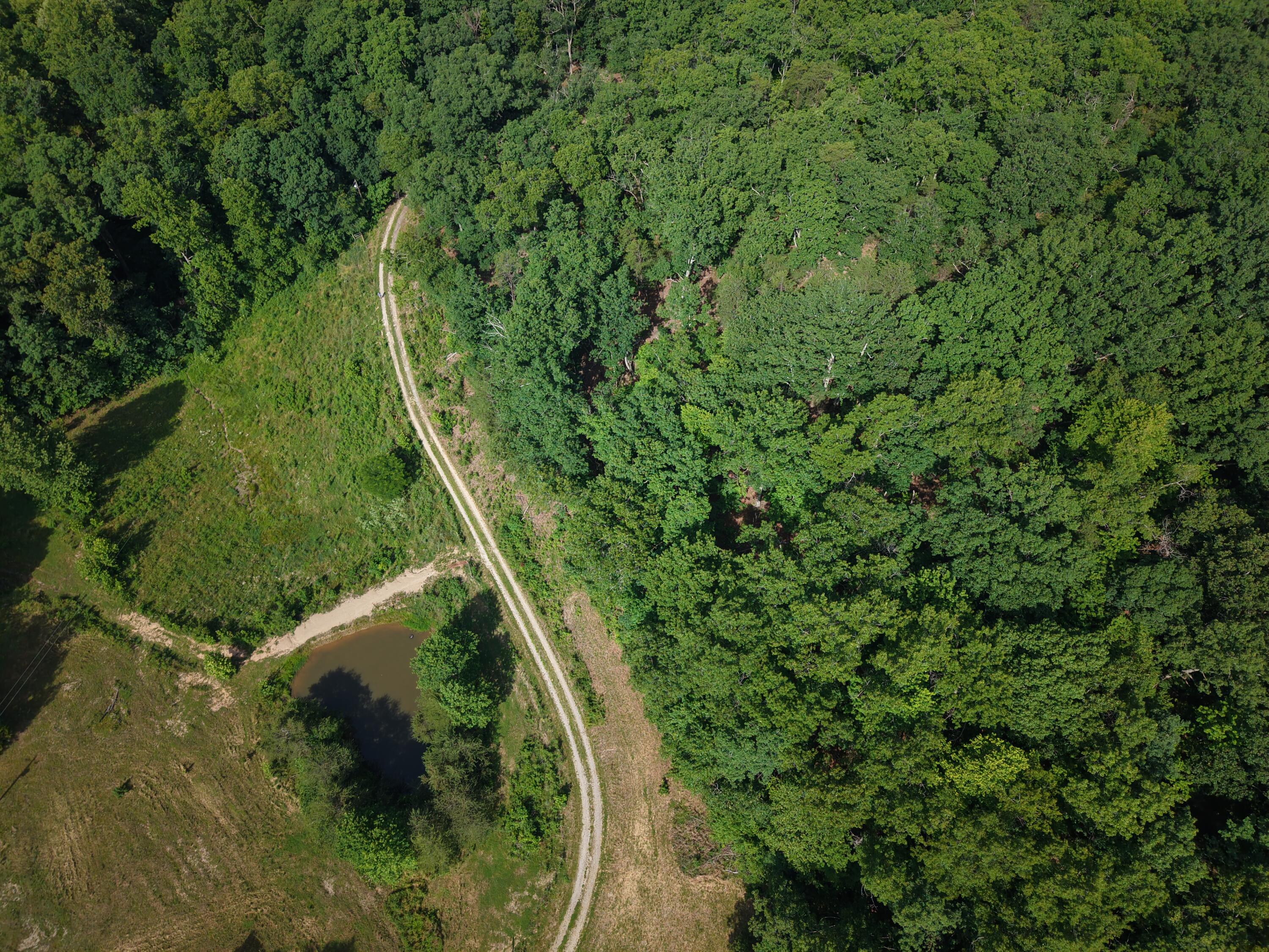 955 Right Angle Road Property Photo 30
