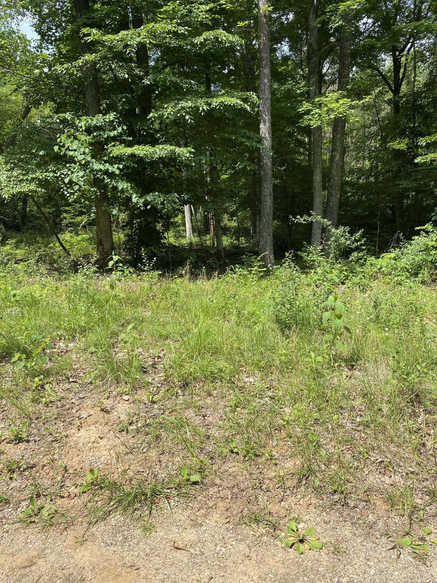 0 S Maugham Drive Property Photo 1