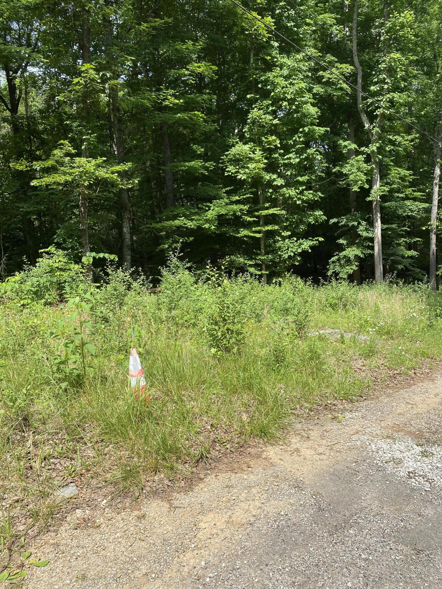 0 S Maugham Drive Property Photo 2