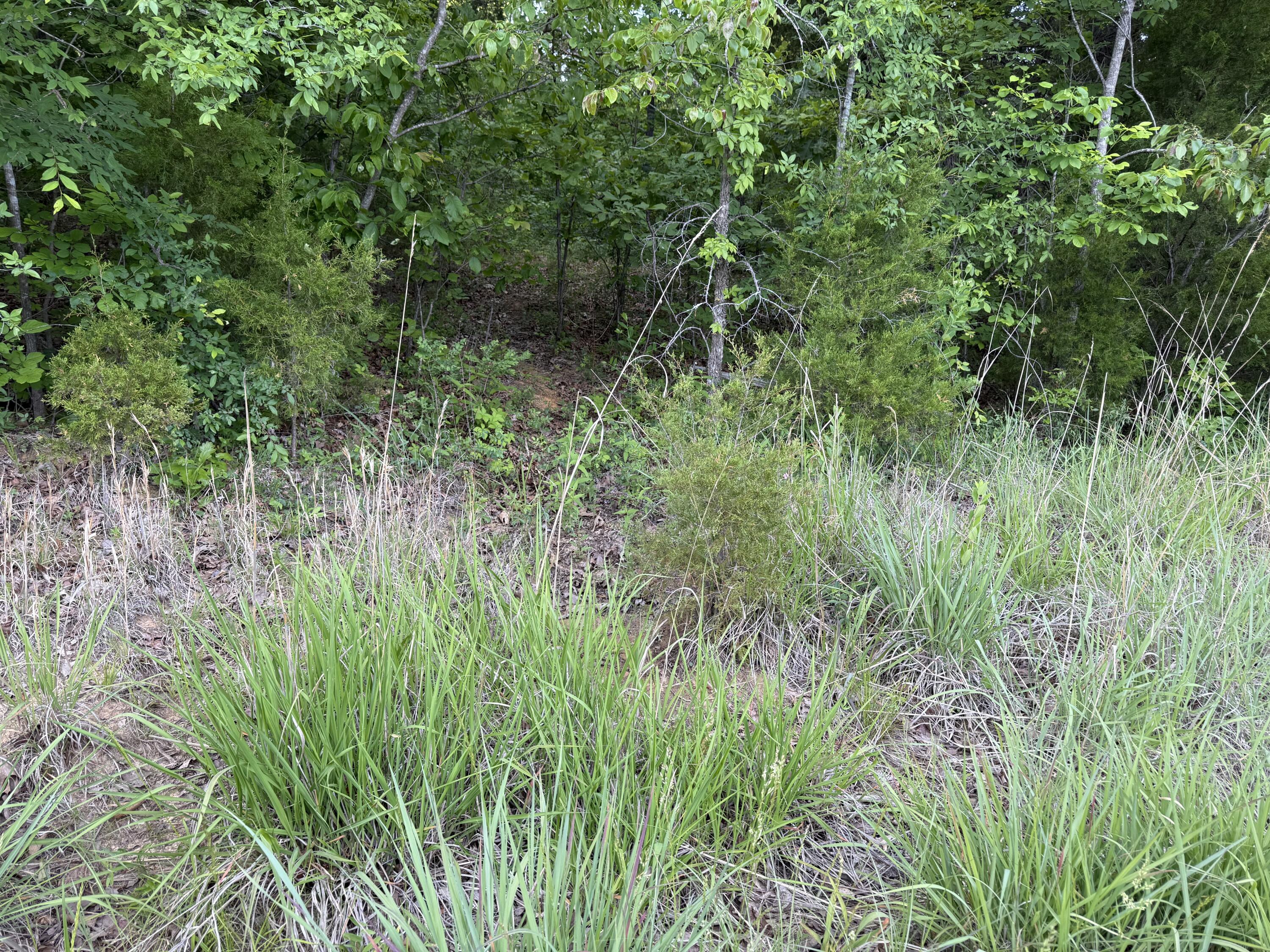 0 Olaton Road Property Photo 13
