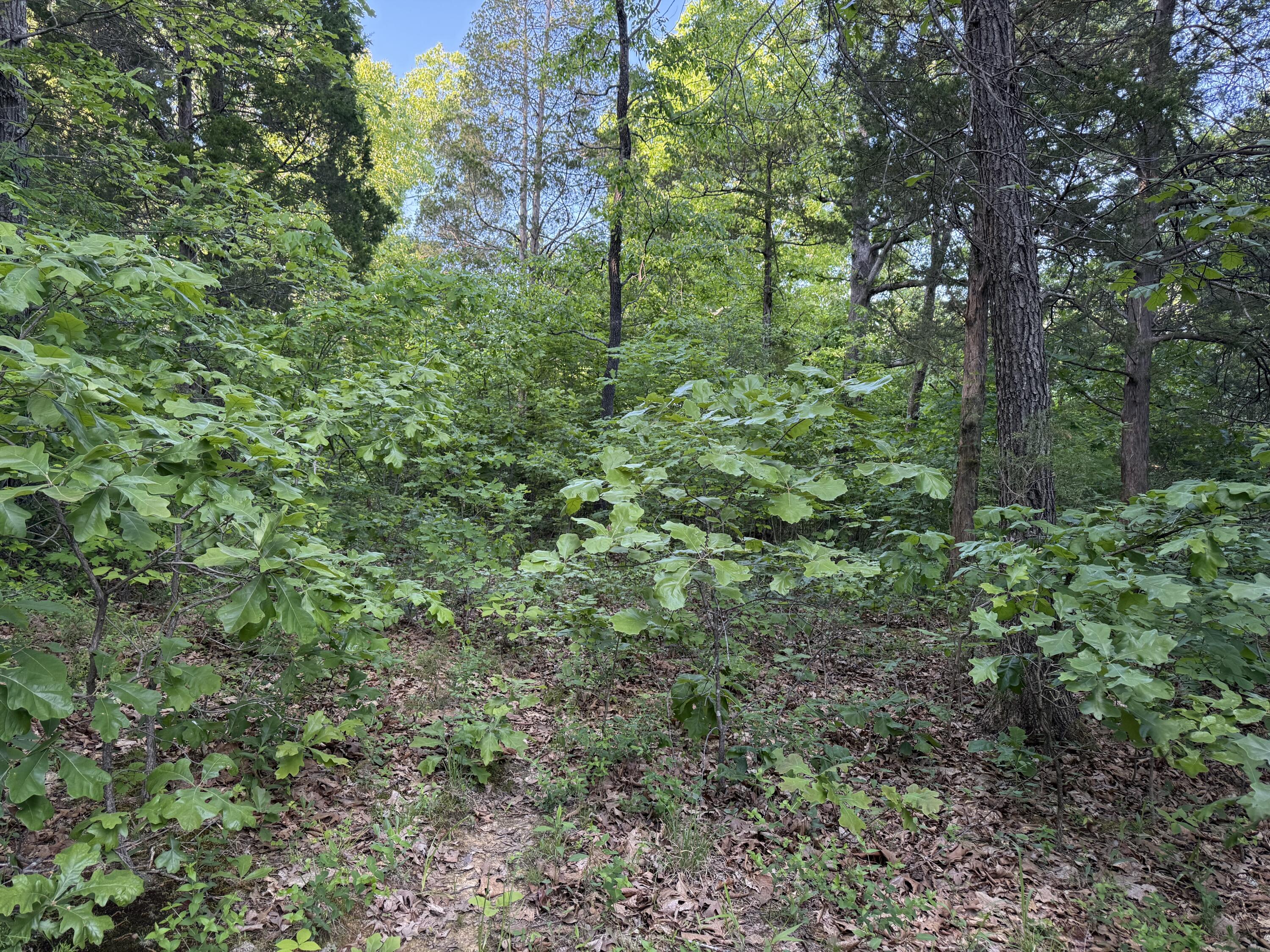 0 Olaton Road Property Photo 15