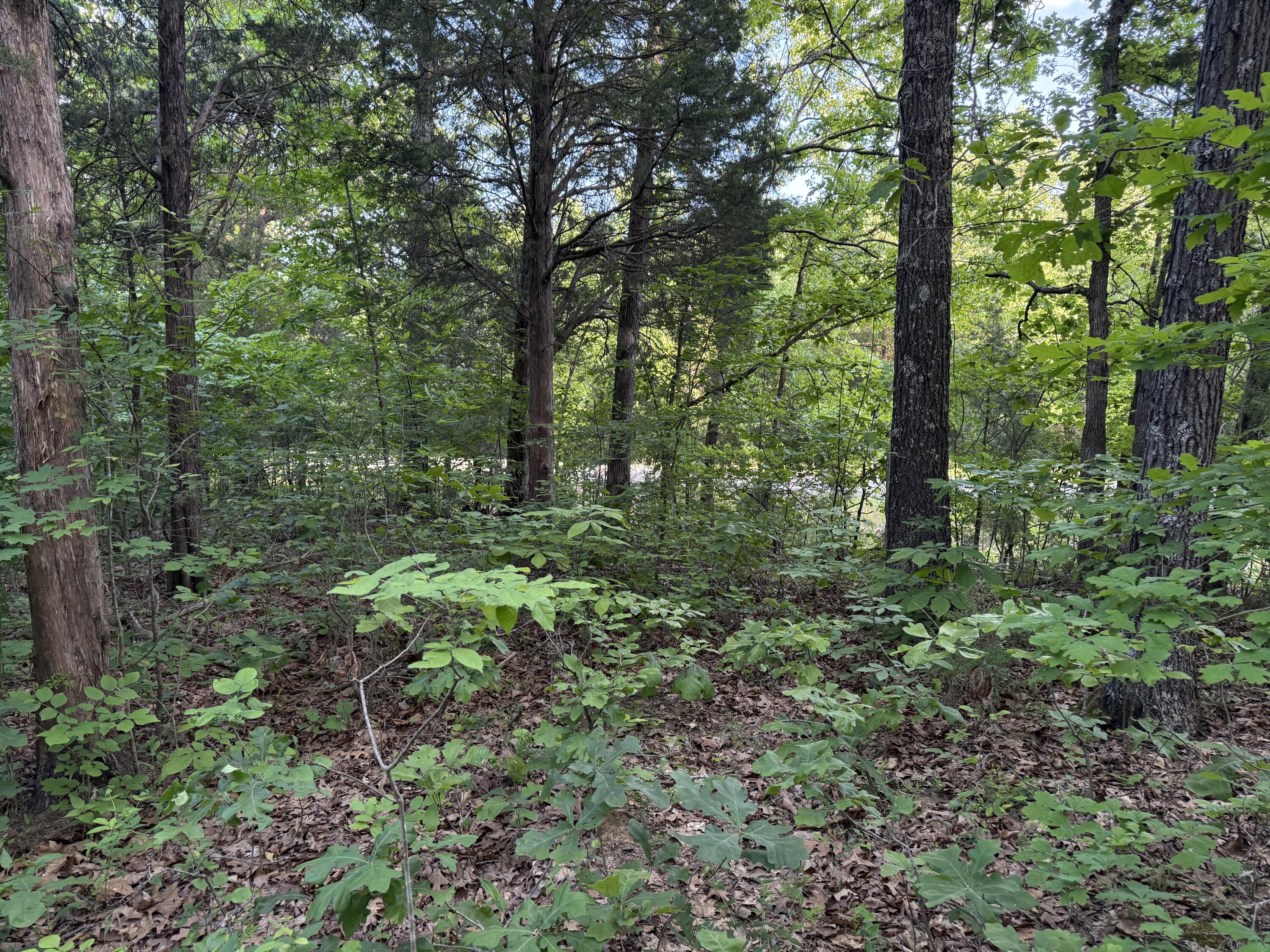 0 Olaton Road Property Photo 16