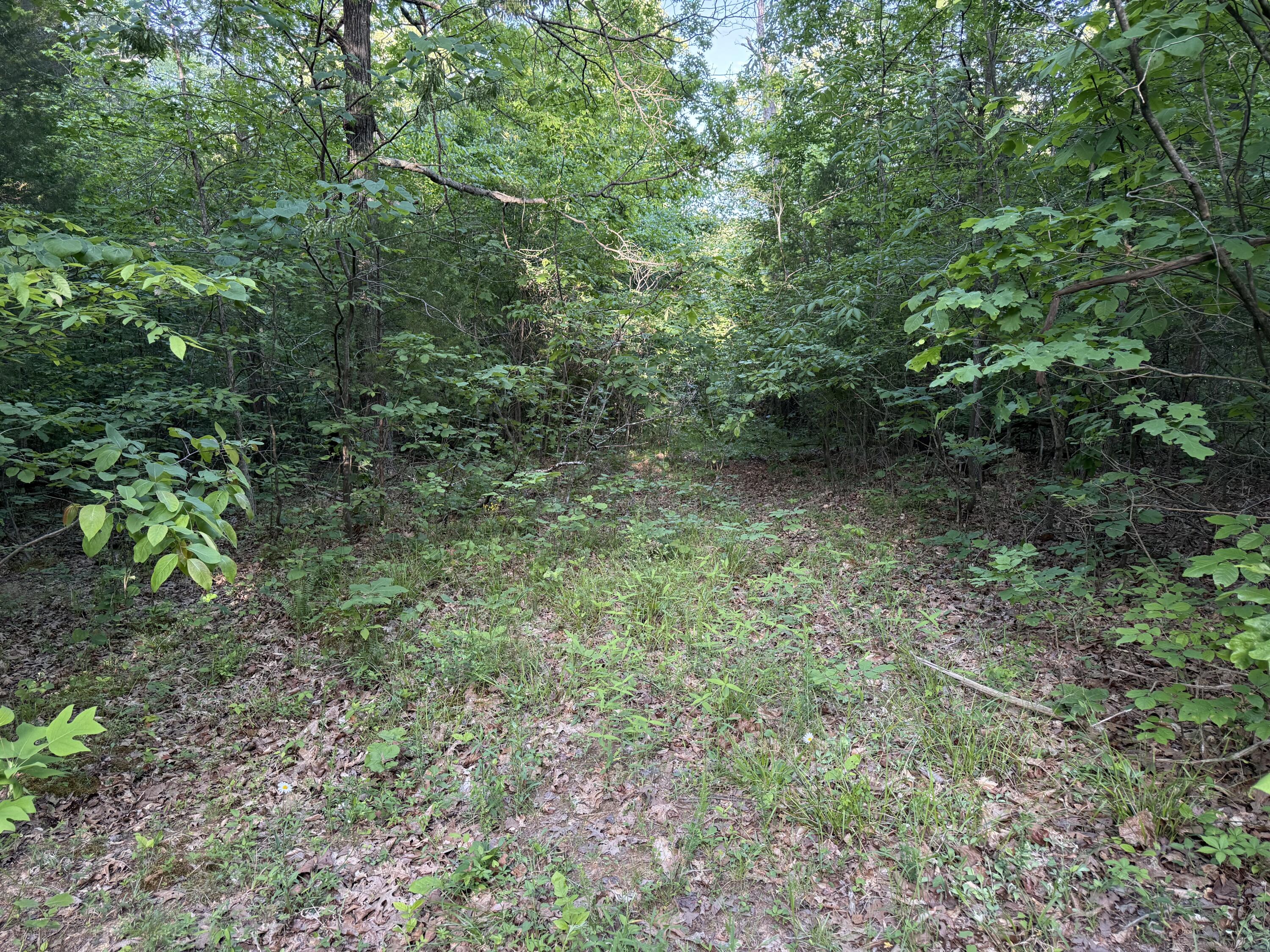 0 Olaton Road Property Photo 17