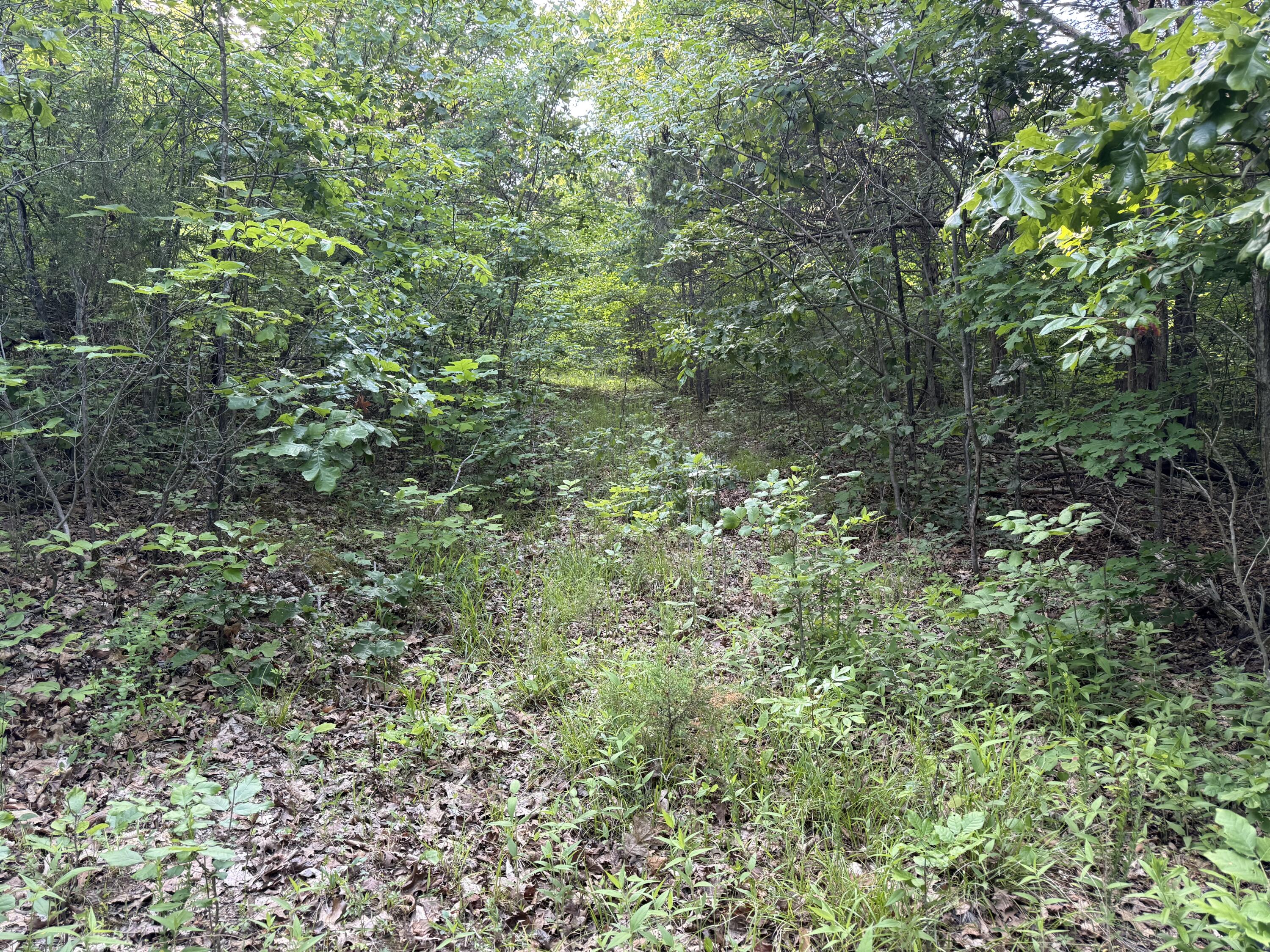 0 Olaton Road Property Photo 18